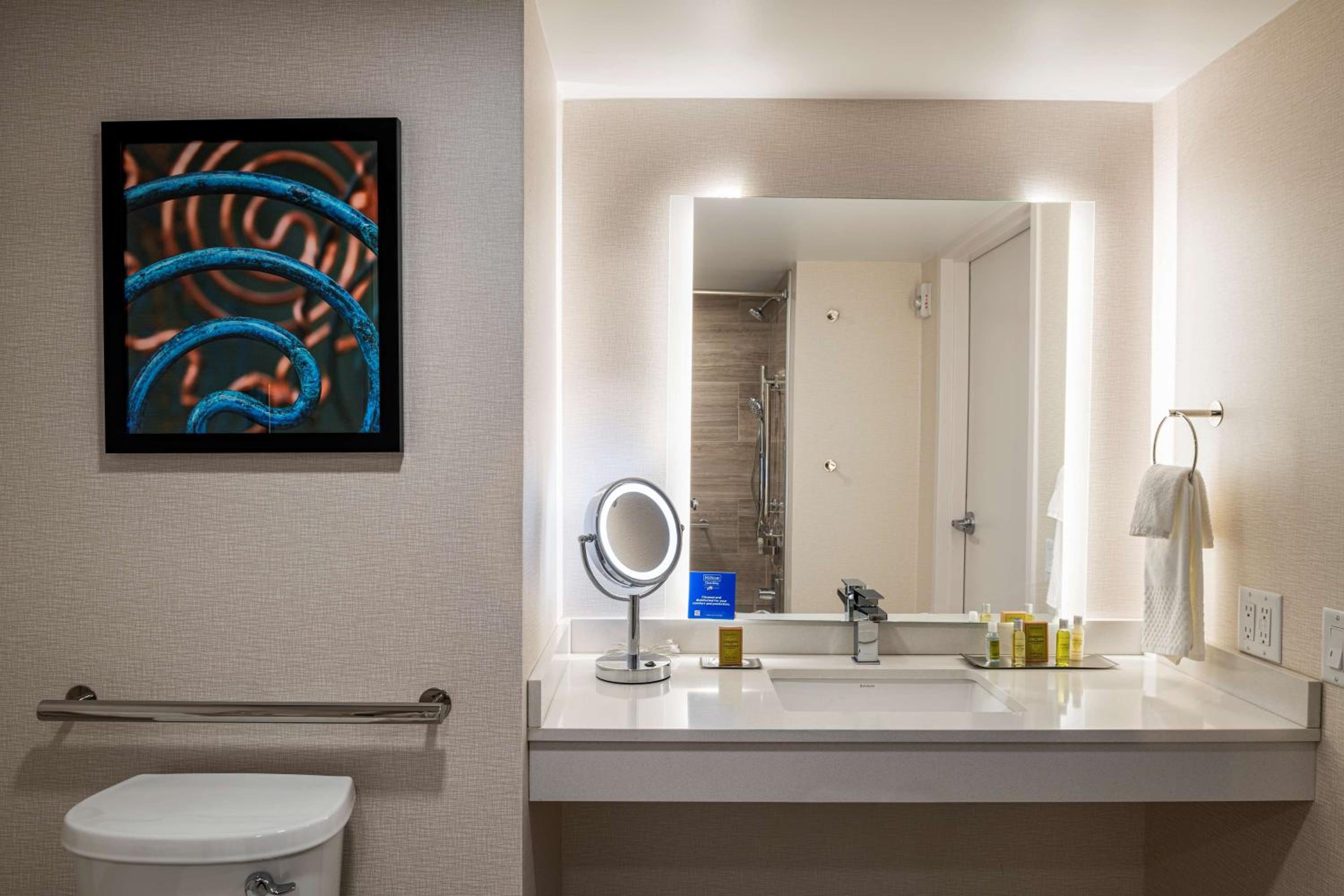 King Studio Suite with Bath Tub - Mobility Access - Photo 8