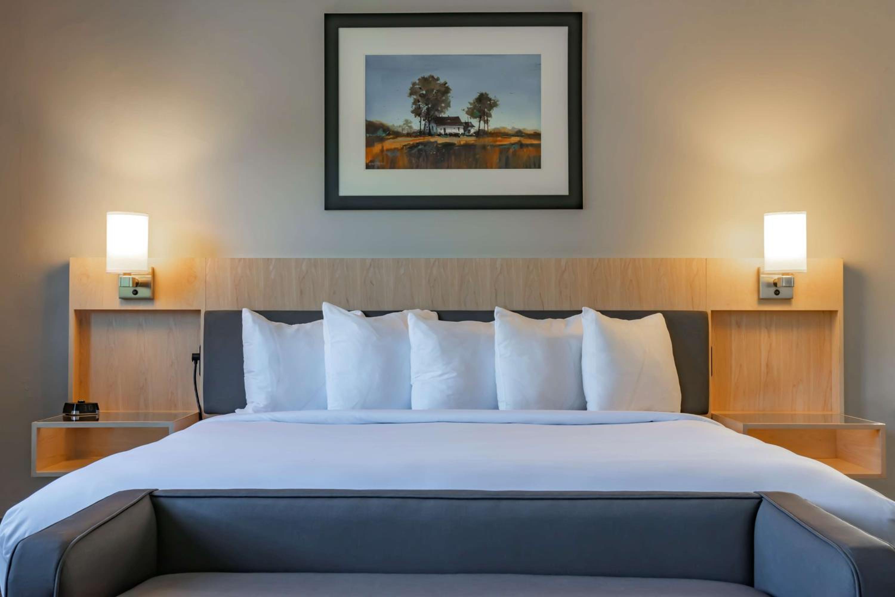 King Room photo 1