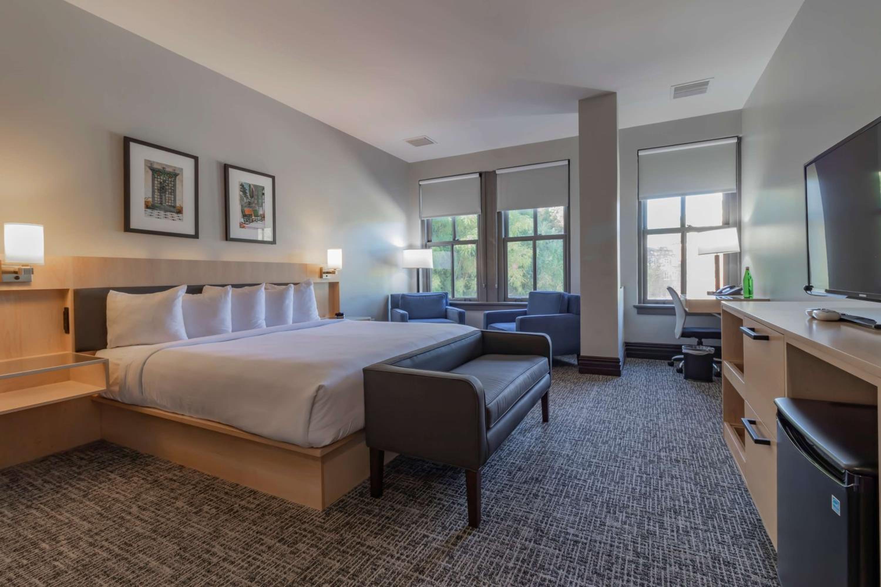King Room photo 3