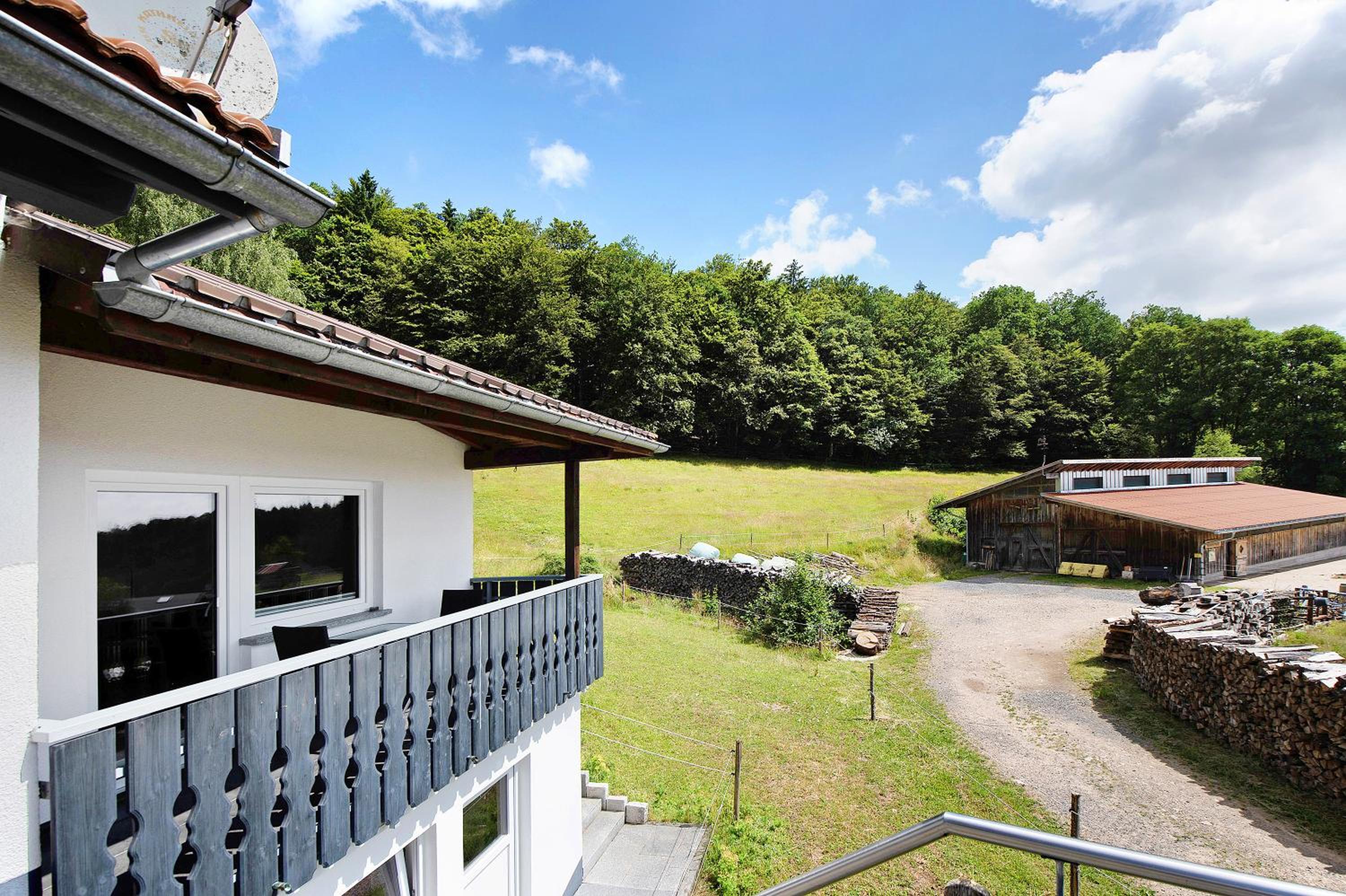 Superior One-Bedroom Apartment with Balcony photo 2