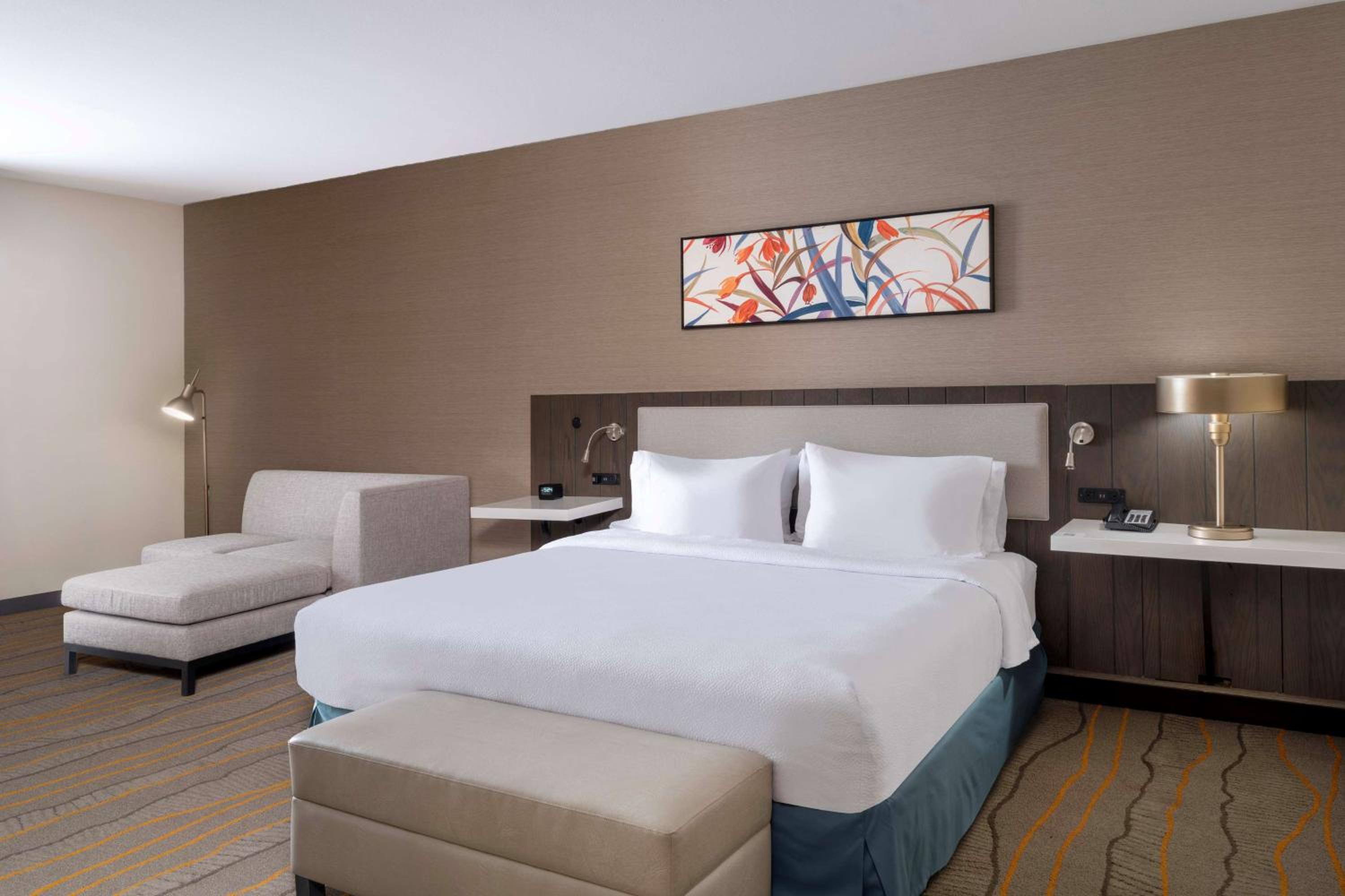 Junior King Suite - Photo 2