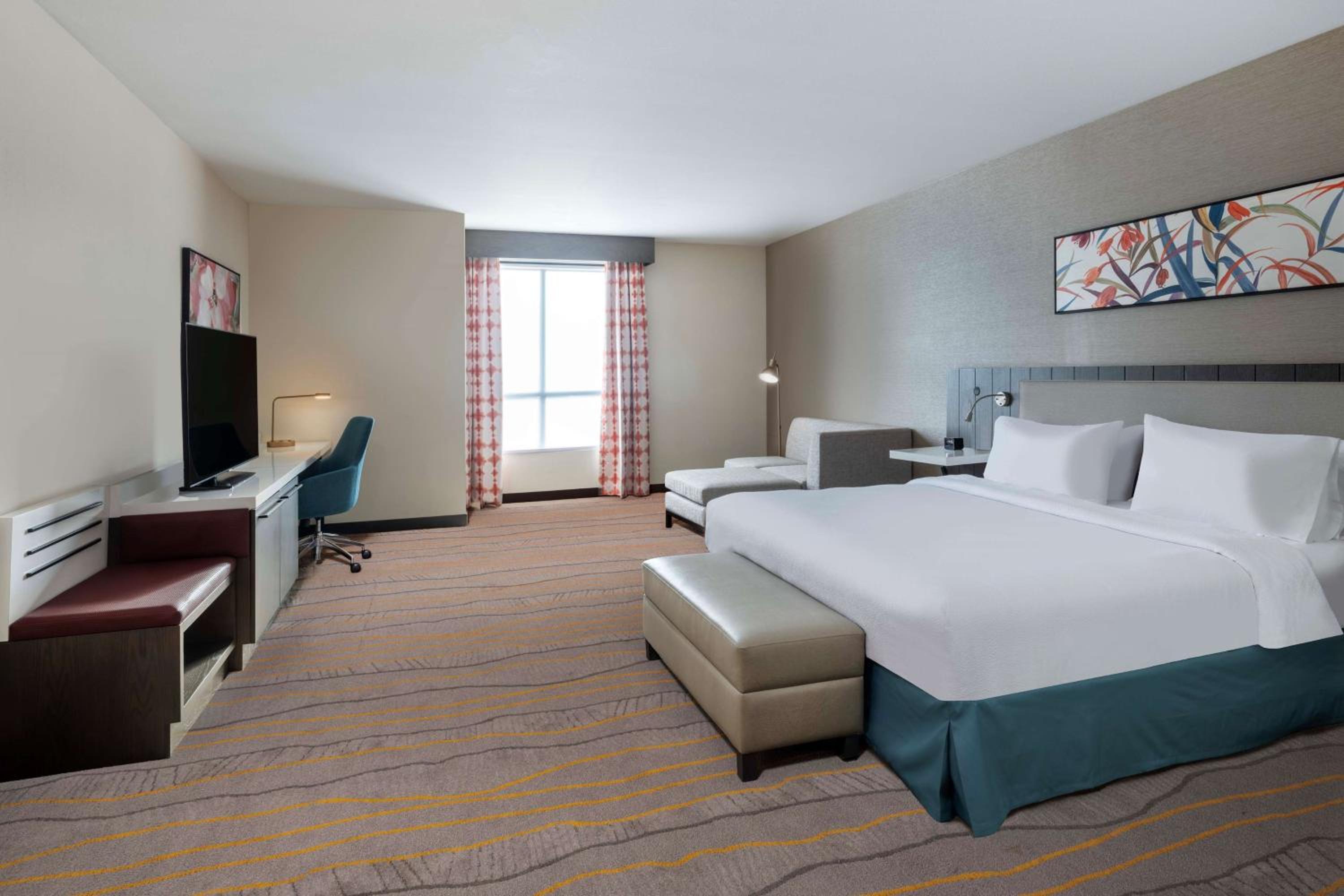 Junior King Suite - Photo 3