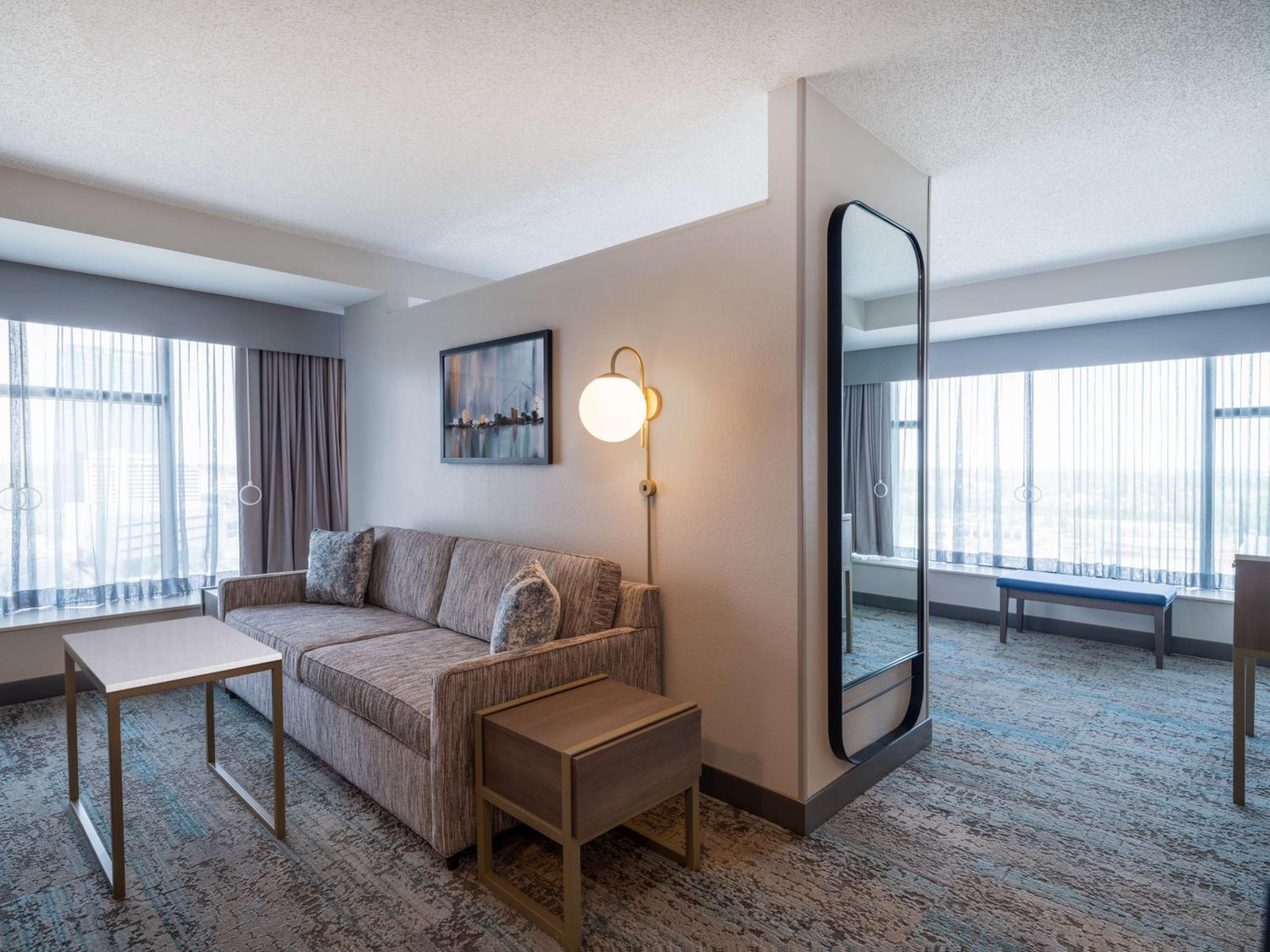 King Studio Suite - Photo 4