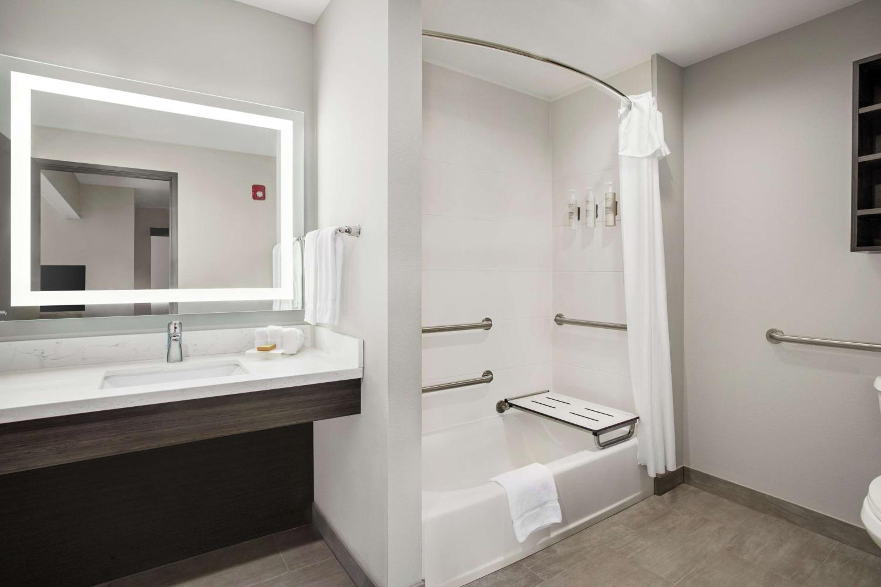 King Studio Suite - Mobility Access/Non-Smoking - Photo 4