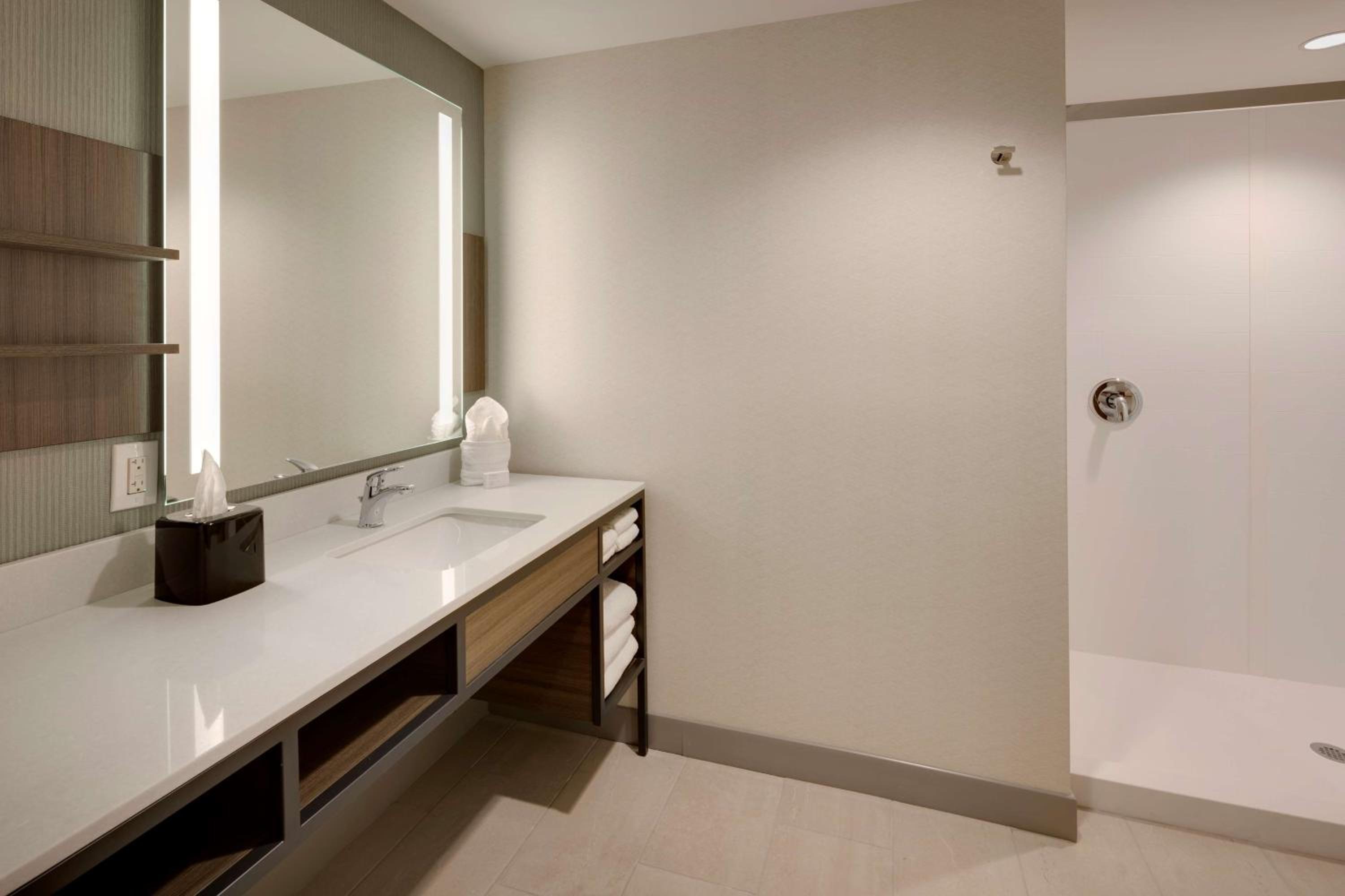 King Studio Suite - Photo 4