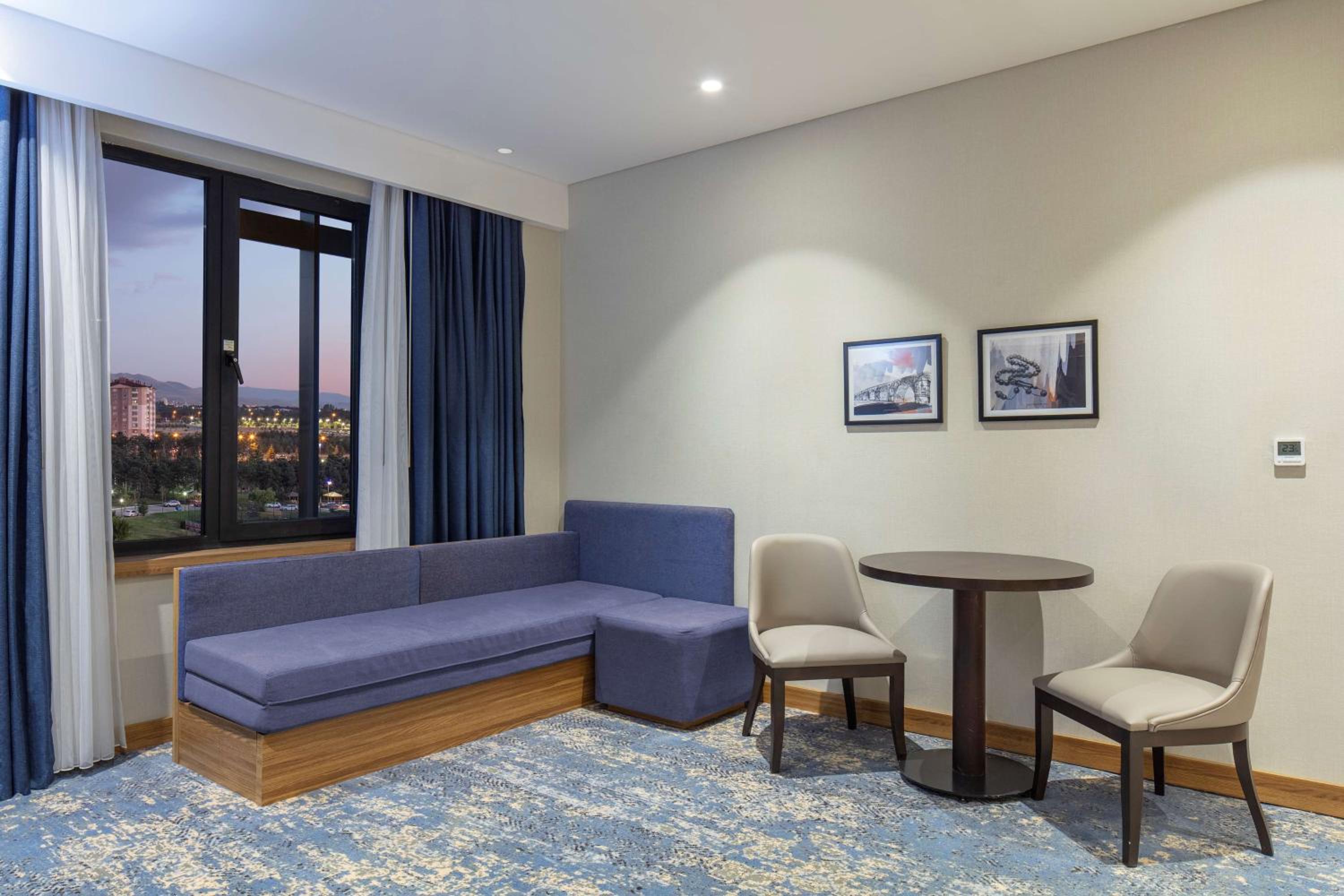Deluxe One-Bedroom King Suite - Mountain View