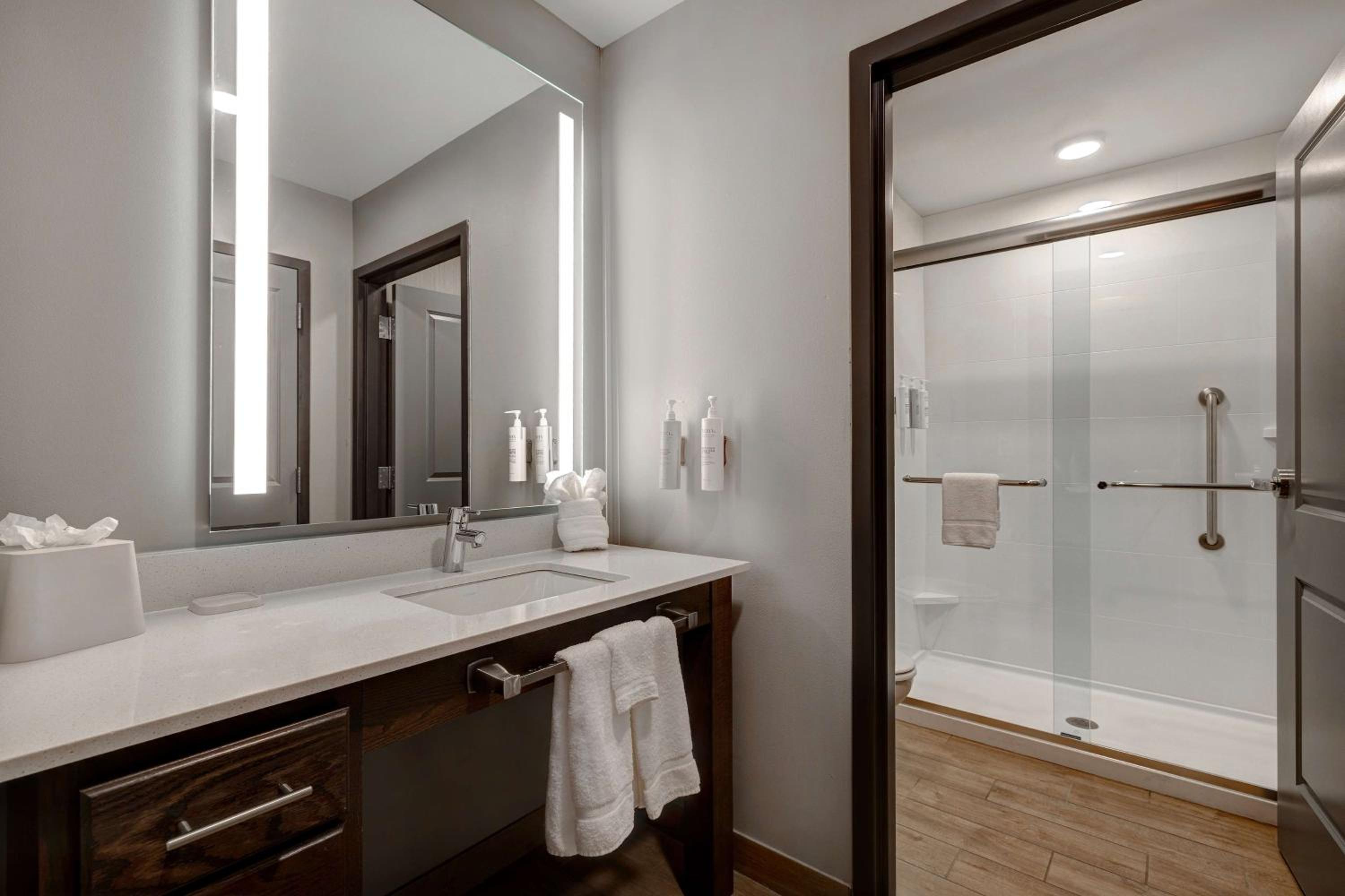 King Studio Suite - Photo 4