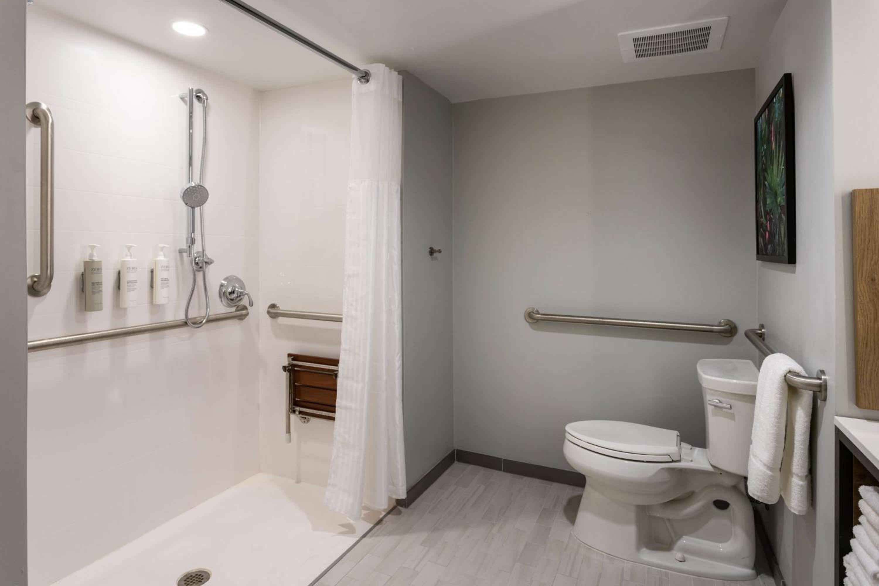 King Room with Roll-In Shower - Mobility Access - Photo 4