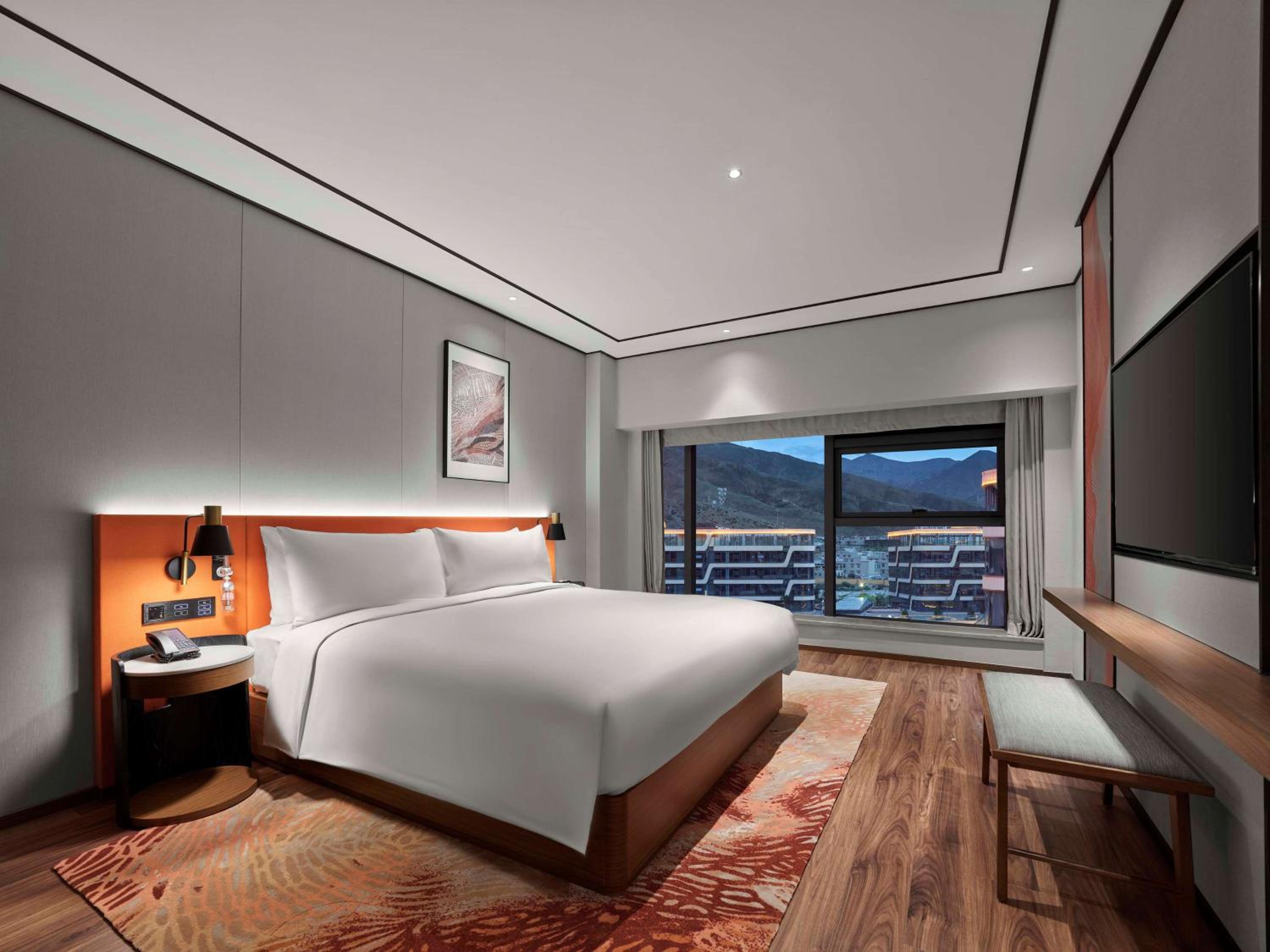 Deluxe King Suite - Photo 3
