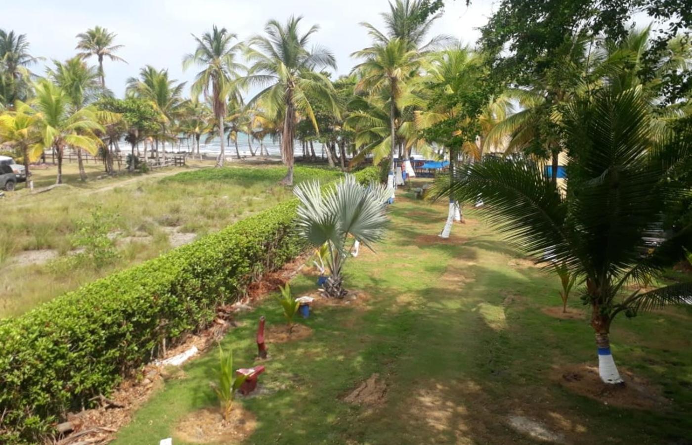 Studio Apartment with Sea View photo 3