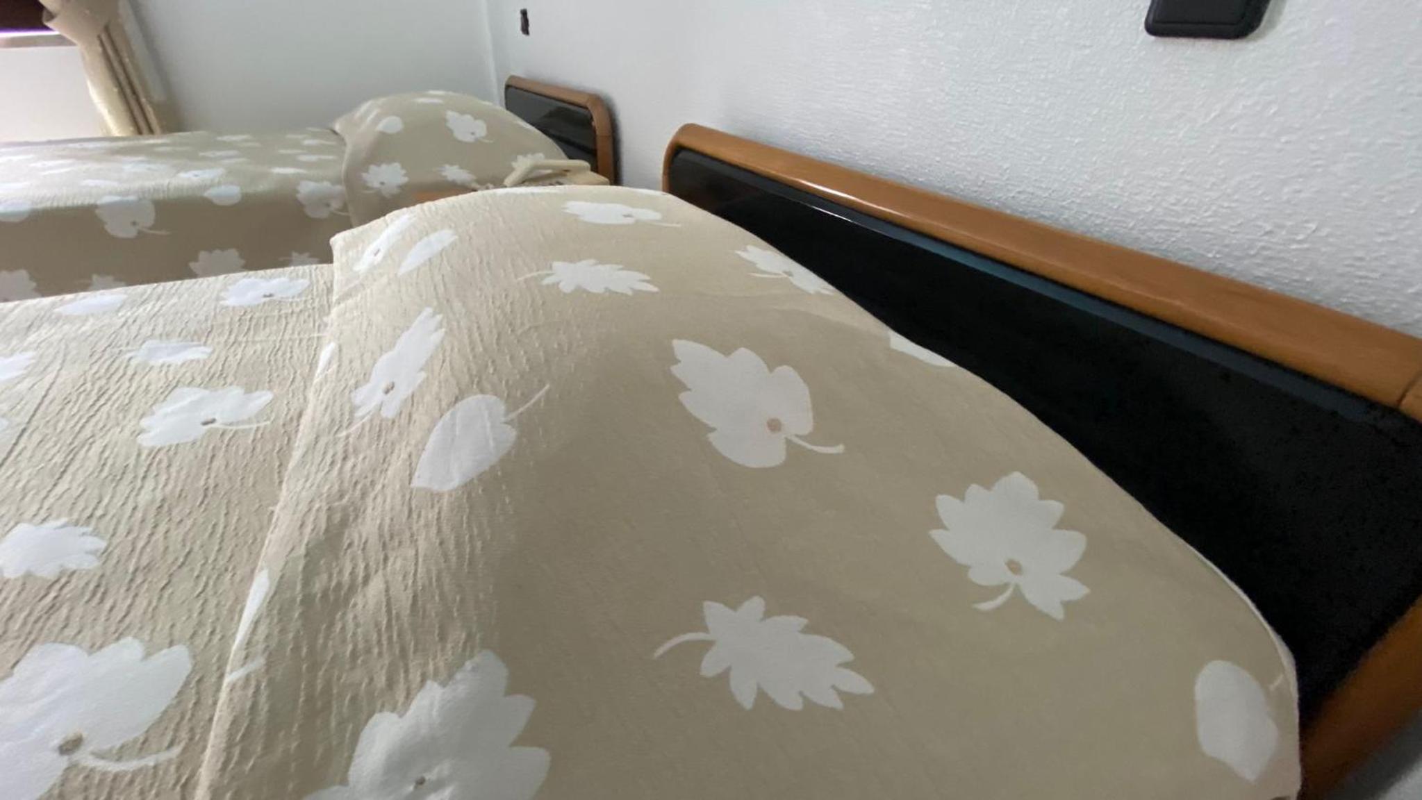 Twin Room with Balcony photo 2