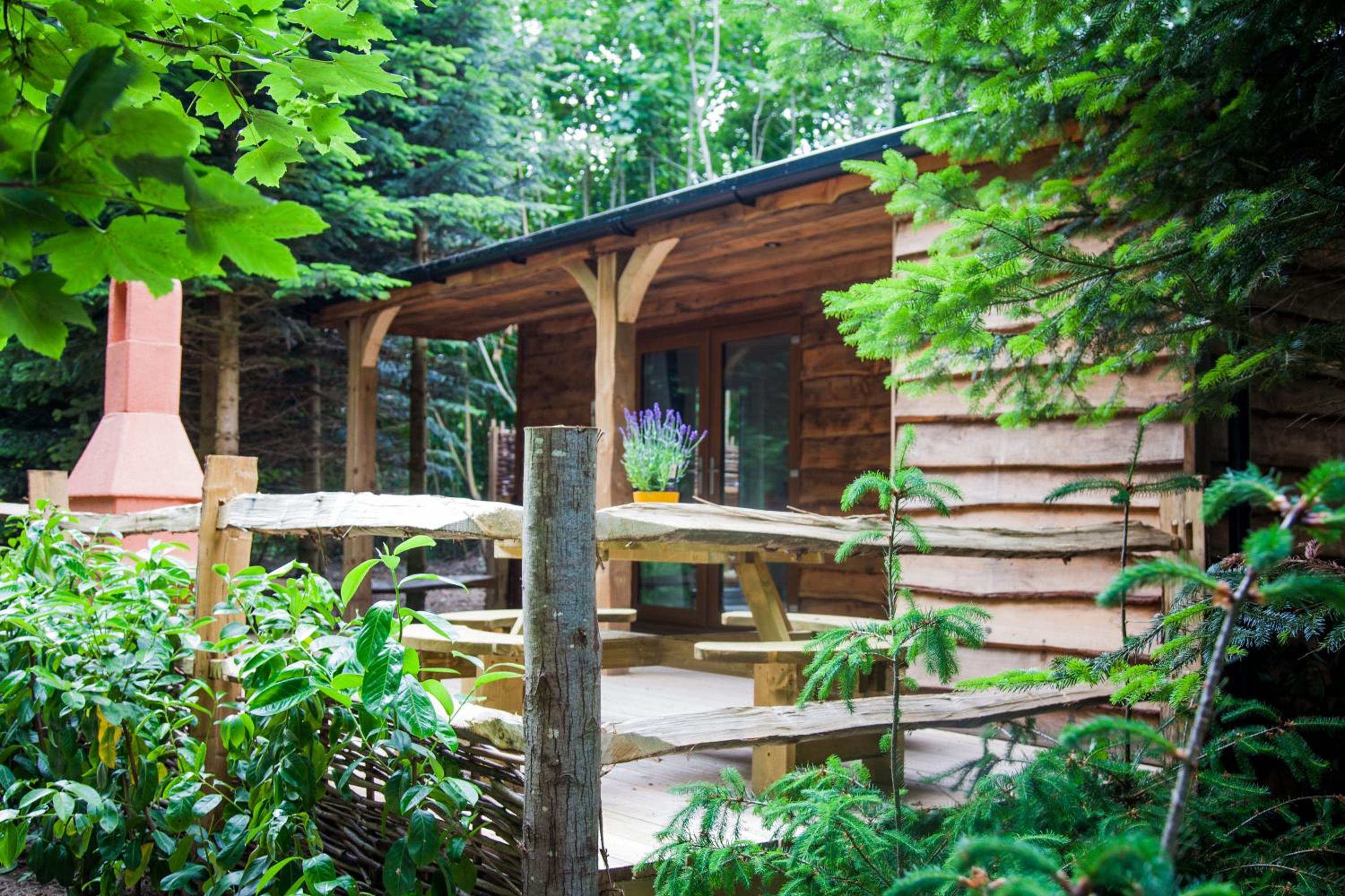 One-Bedroom Chalet - Badger photo 2