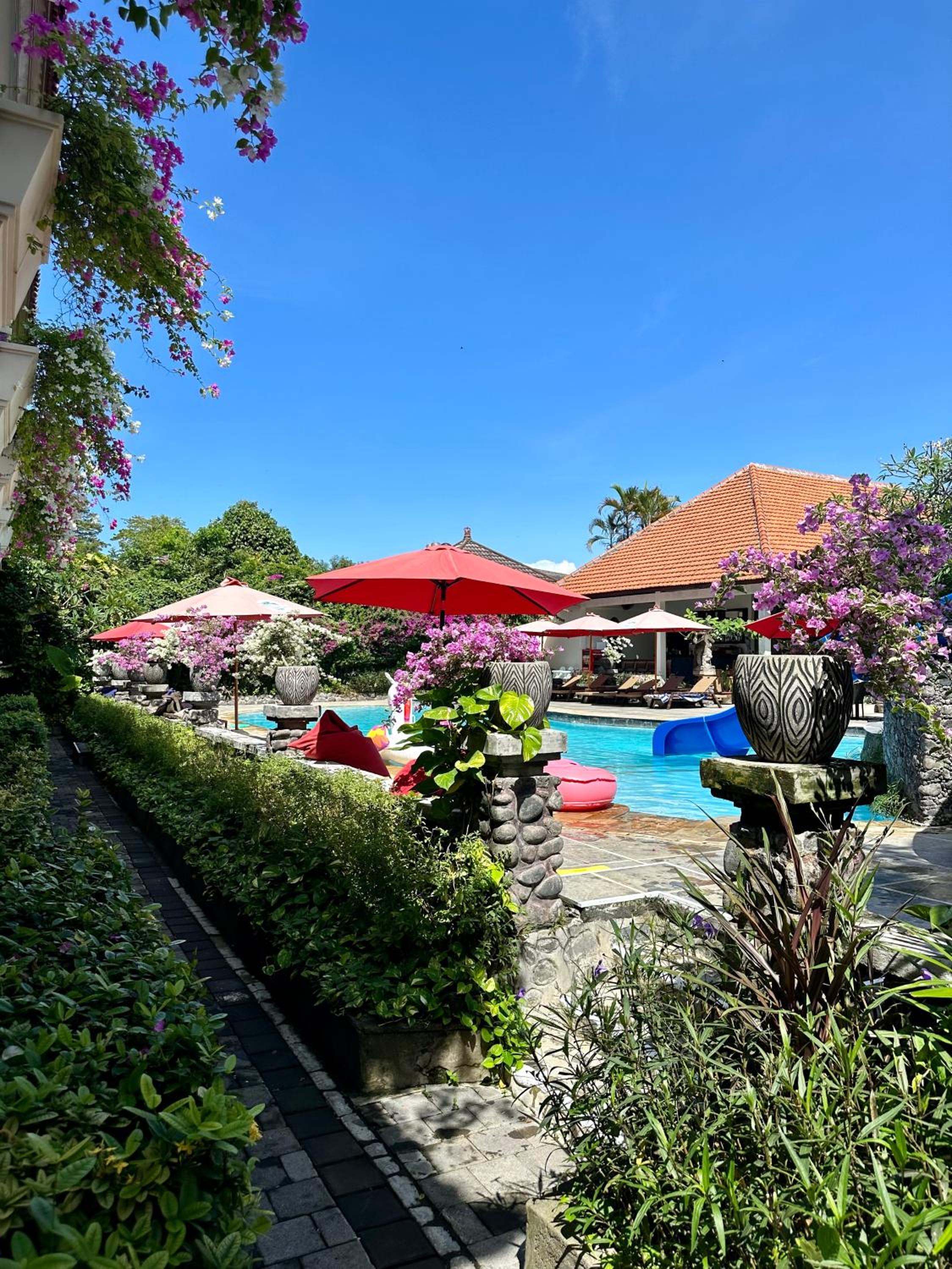 Deluxe King Room - Pool View - Photo 6
