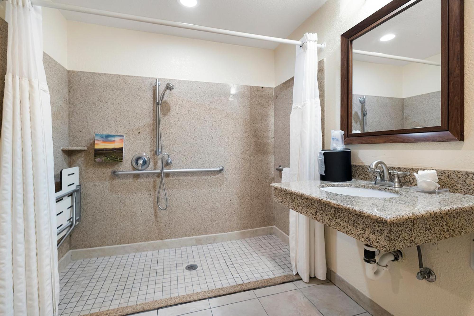 King Room with Roll-in Shower - Disability Access/Non-Smoking - Photo 3