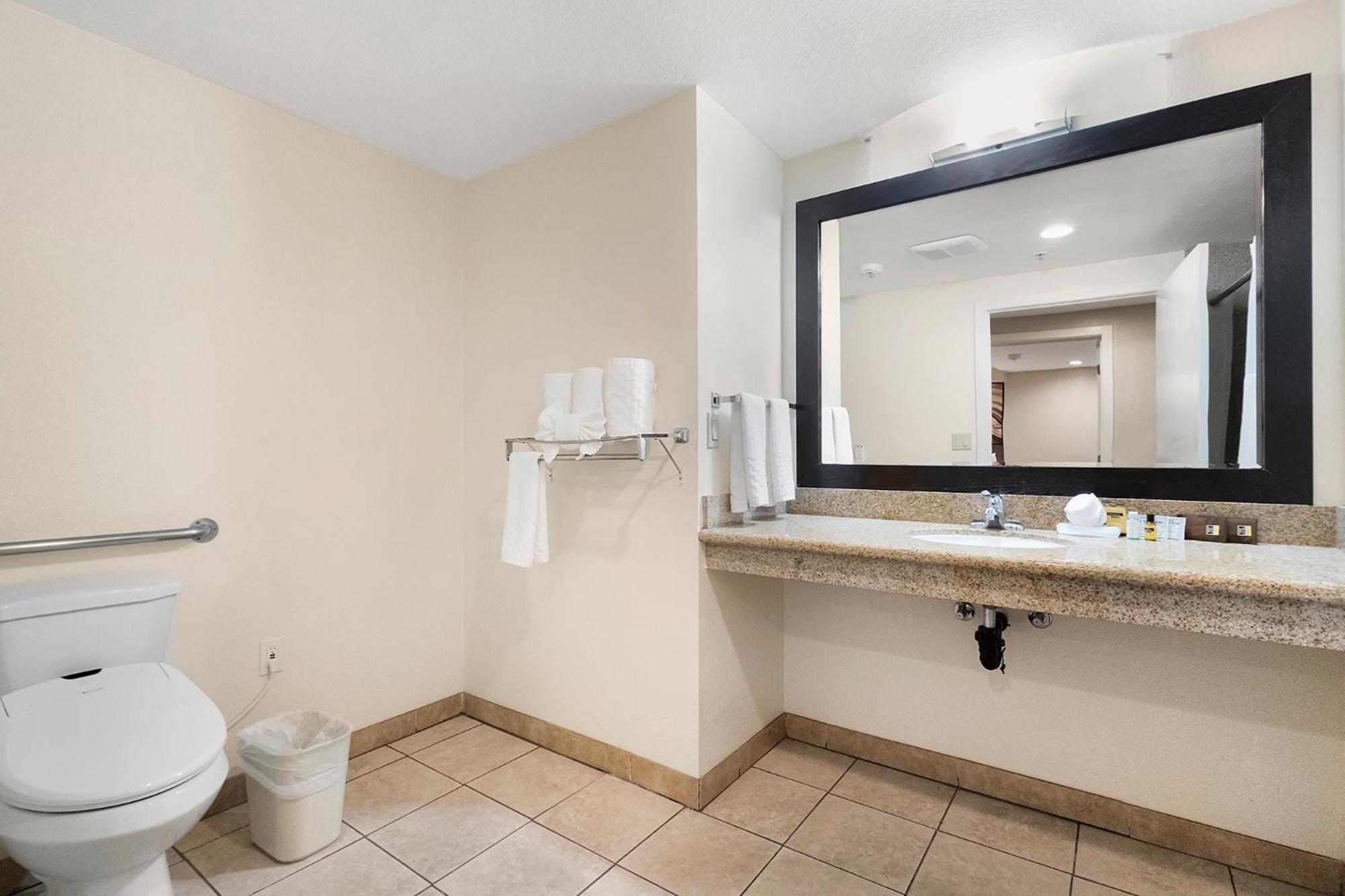 King Suite with Sofa Bed and Roll-In Shower - Disability Access/Non-Smoking - Photo 4
