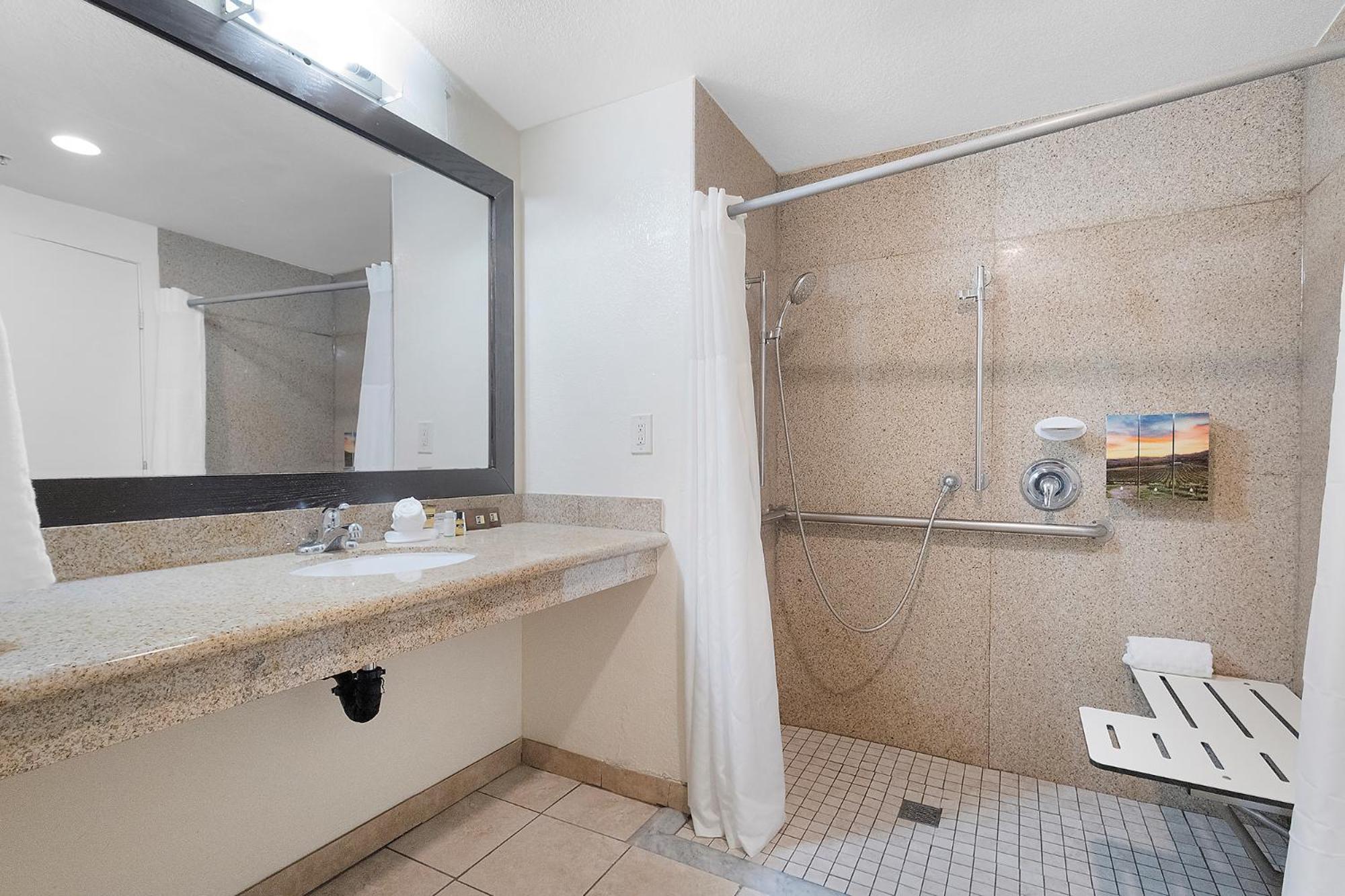 King Suite with Sofa Bed and Roll-In Shower - Disability Access/Non-Smoking - Photo 5