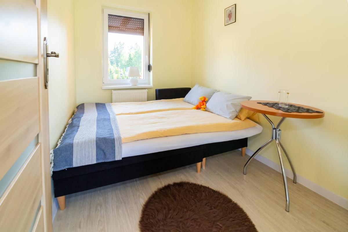 Apartment with Terrace photo 2