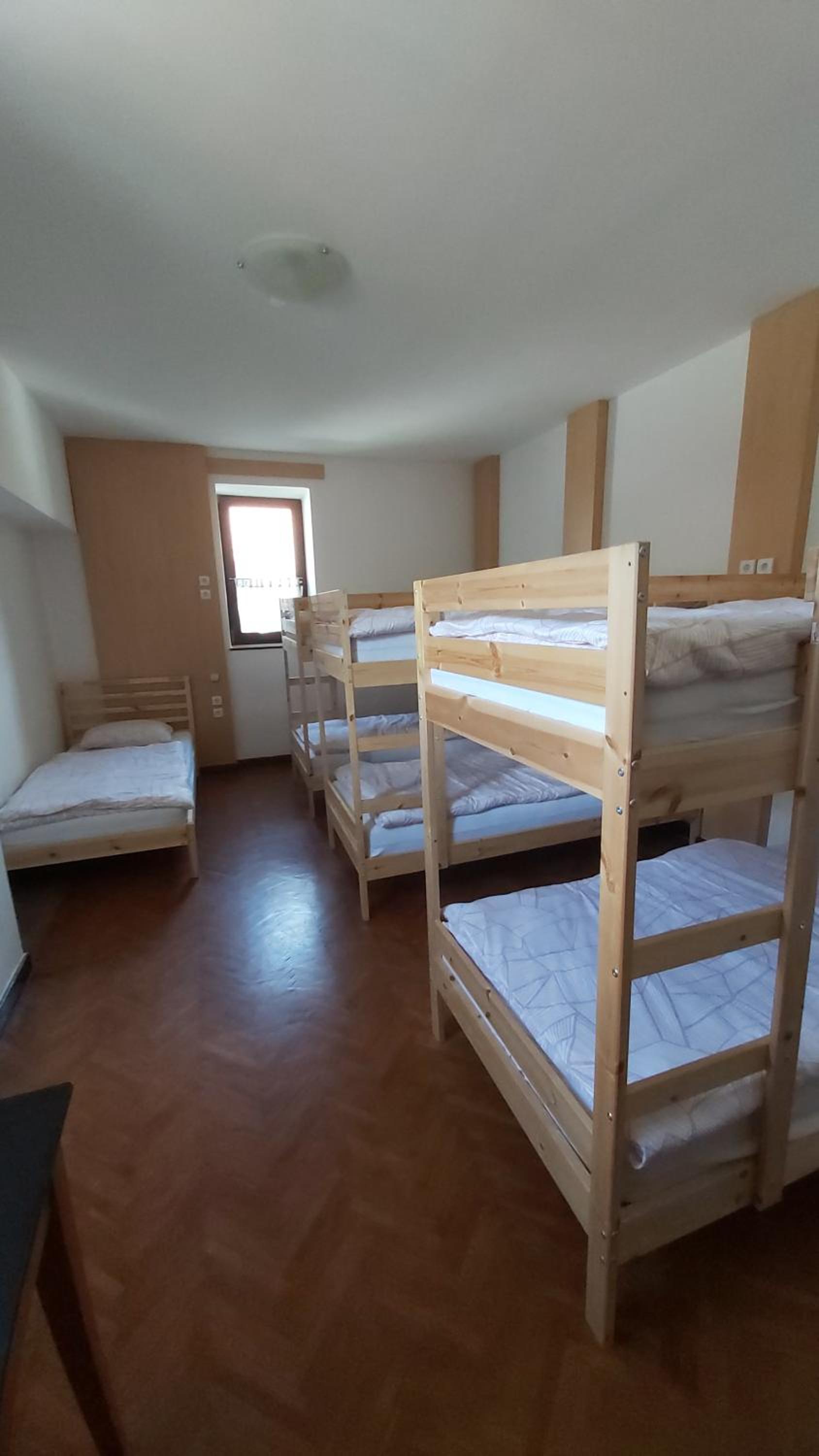 Single Bed in Mixed Dormitory Room photo 1