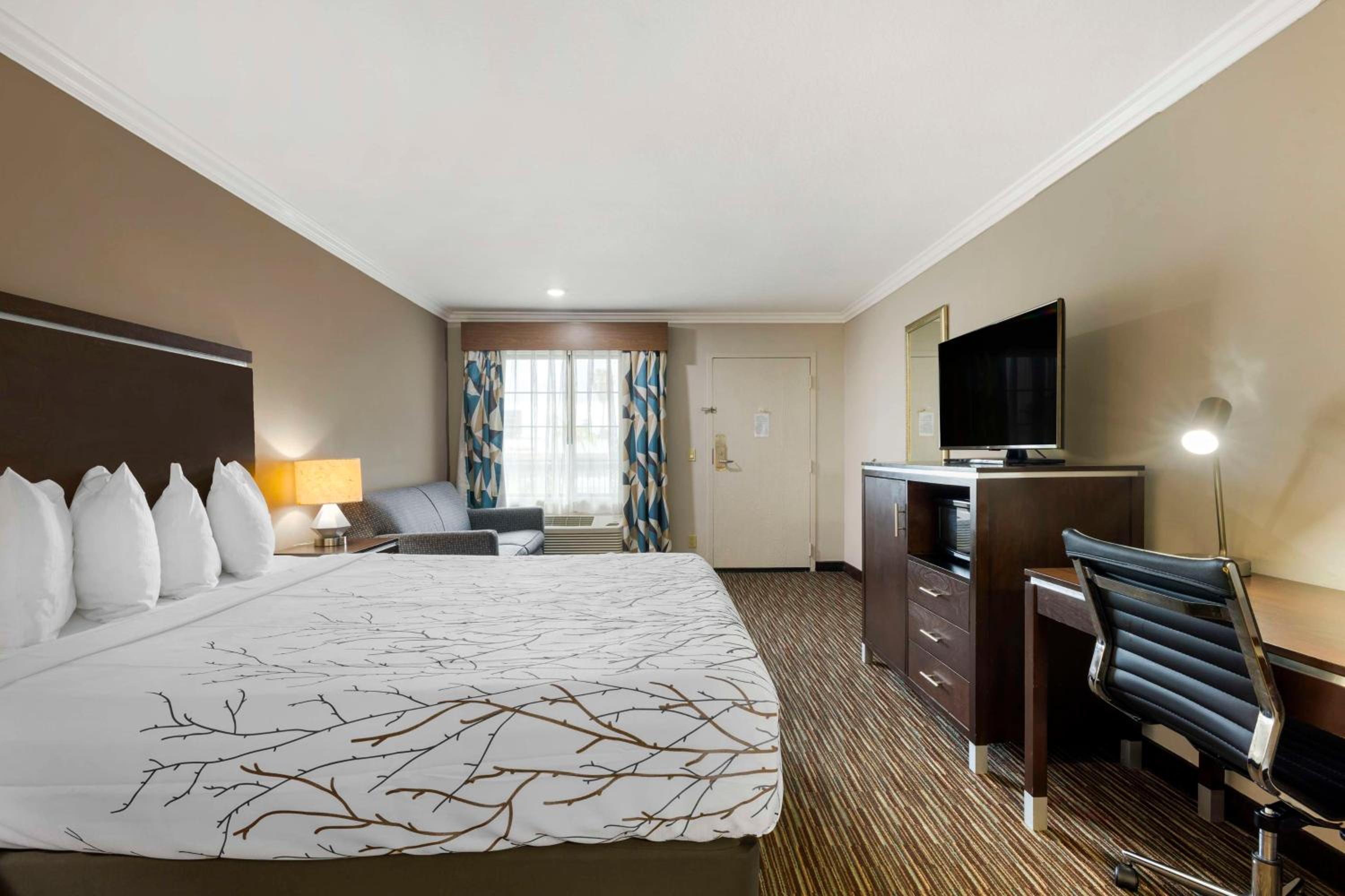 Large King Room - Non-Smoking - Photo 3