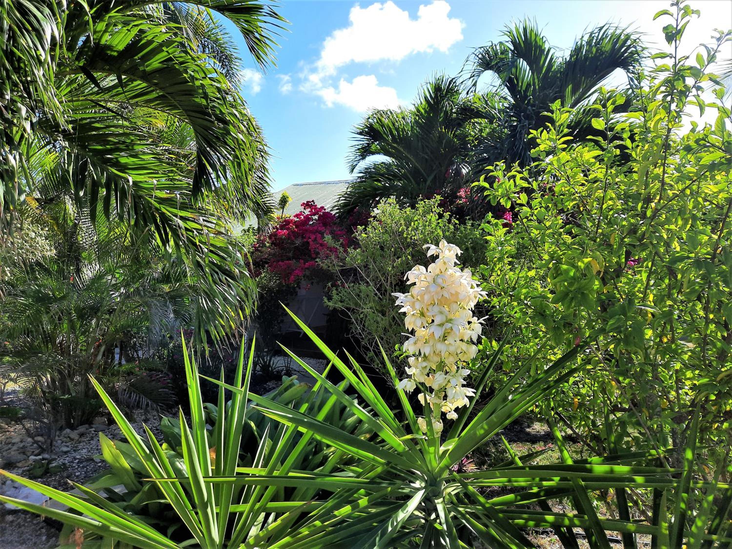 Family Bungalow photo 2