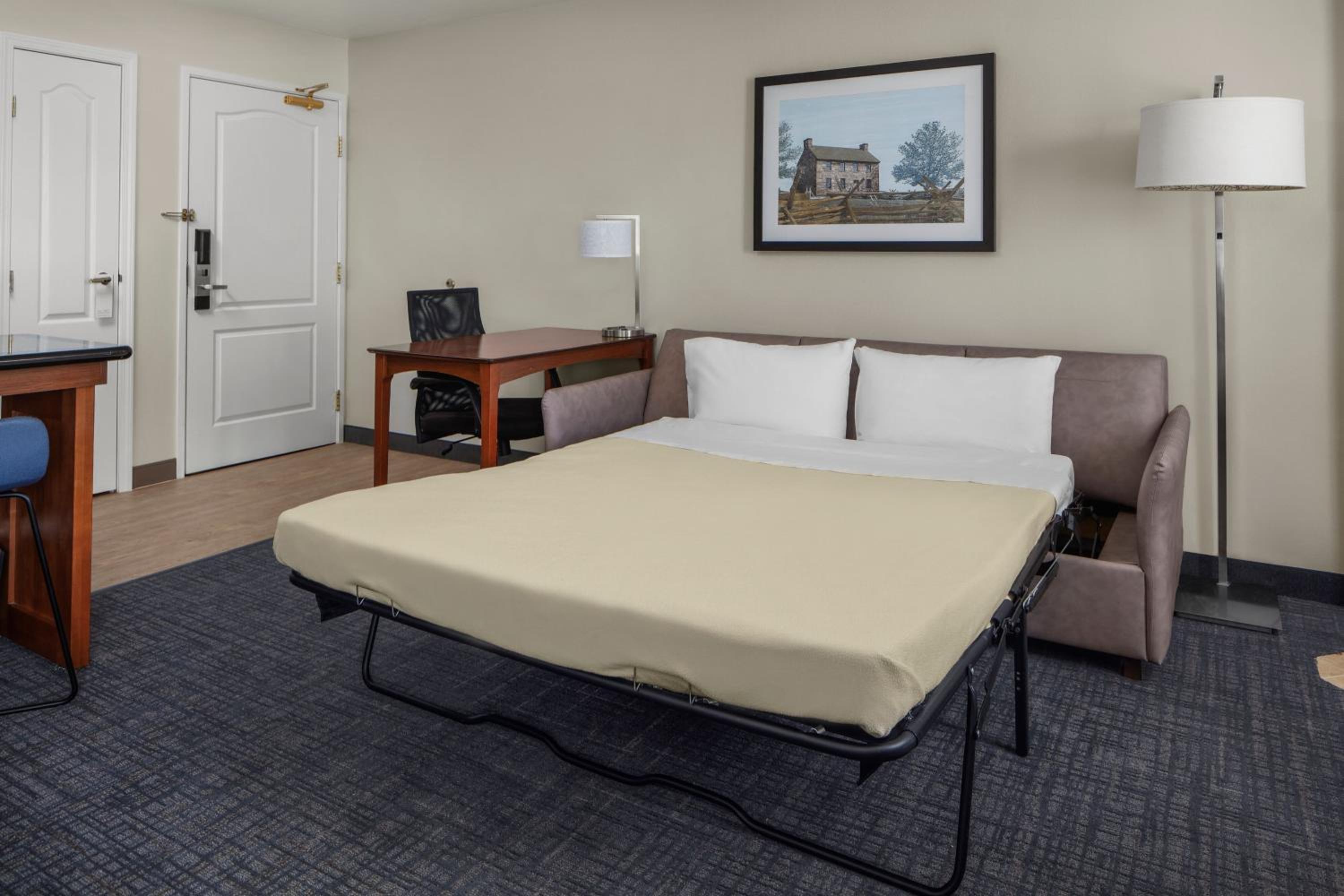 One-Bedroom Queen Suite with Sofa Bed - Photo 2