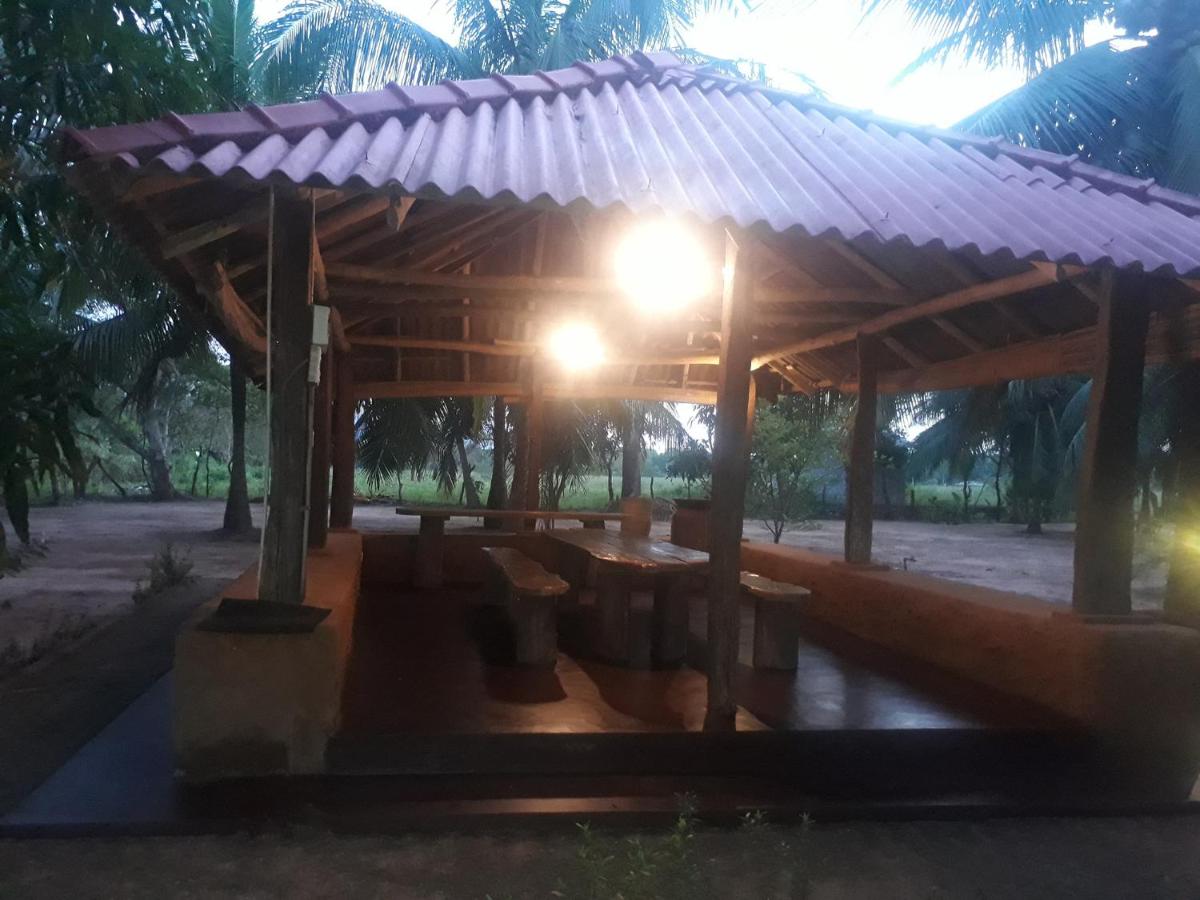 Chalet photo 3