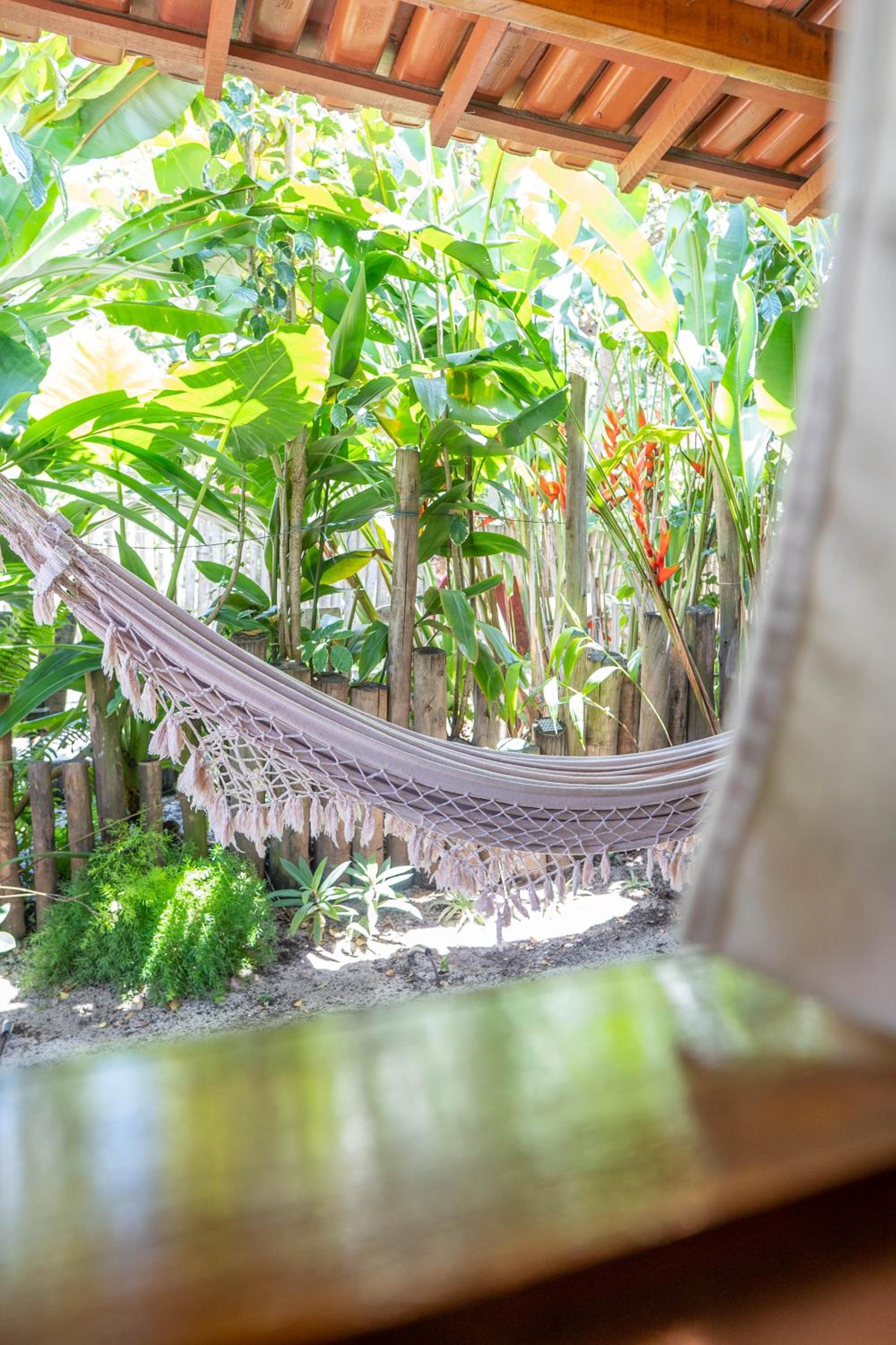 Double Room with Patio photo 3