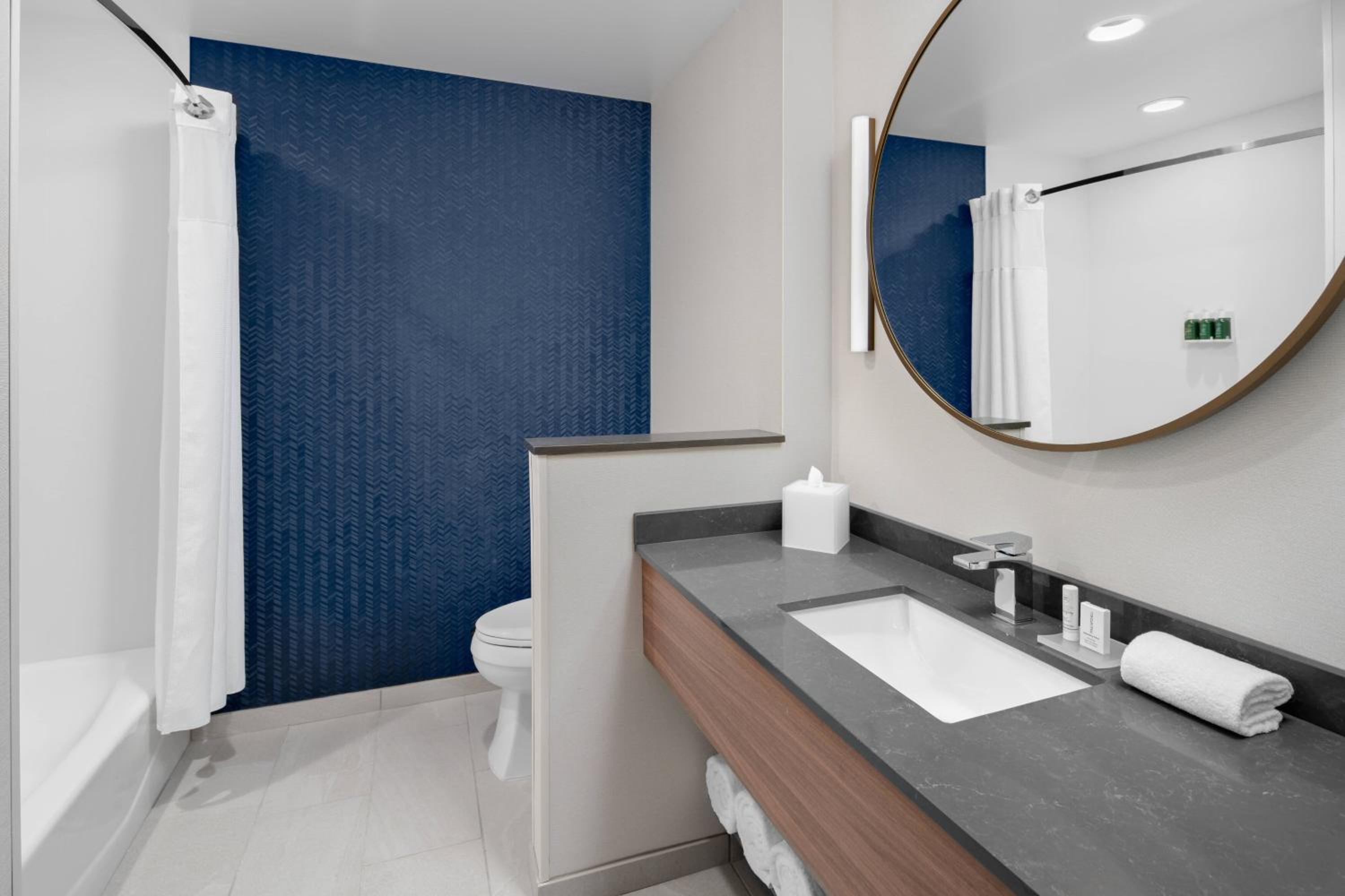 King Suite with Bathtub and Sofa Bed - Mobility Access/Hearing Accessible photo 3