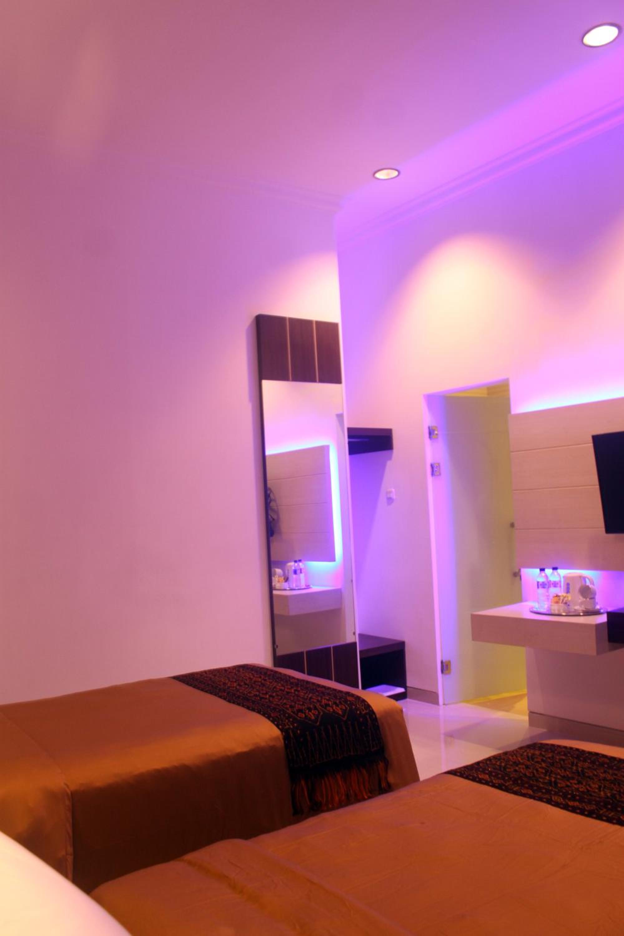 Deluxe Double or Twin Room with Garden View photo 3