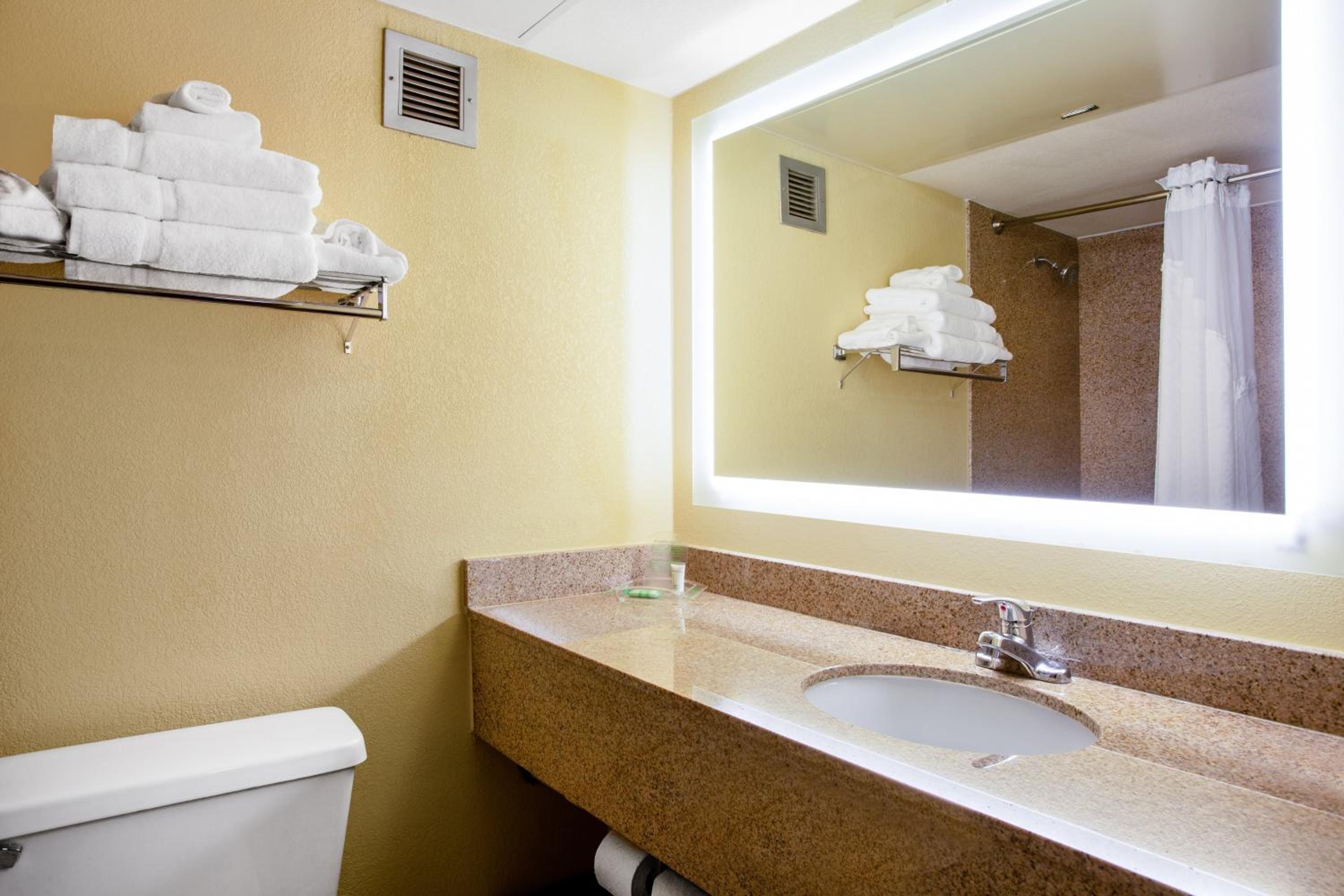 Premium King Room - Photo 3