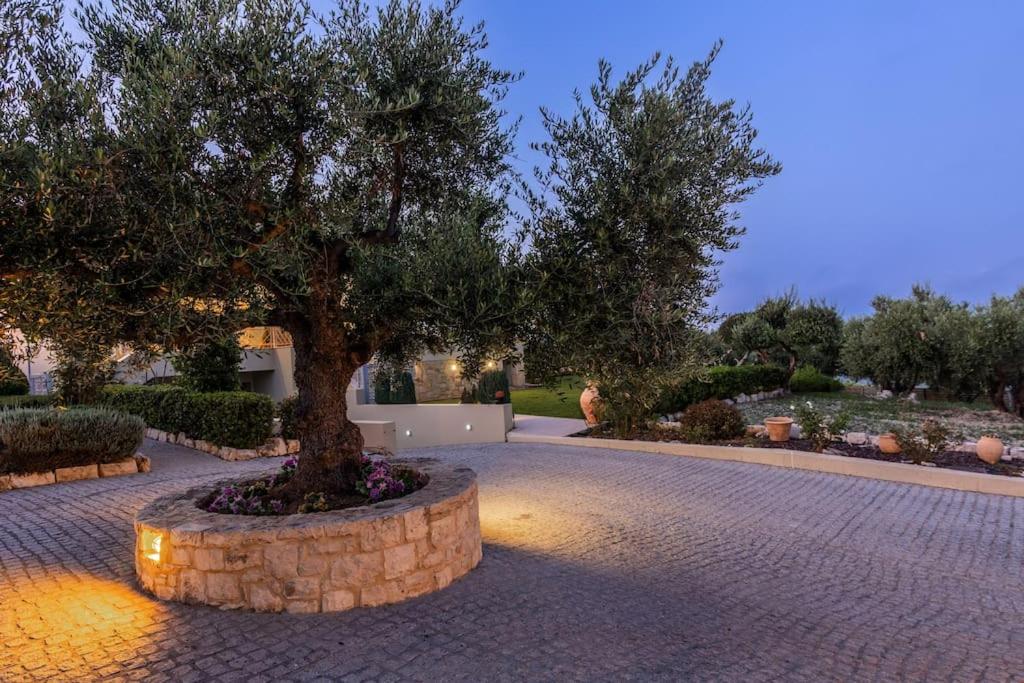 Villa photo 2
