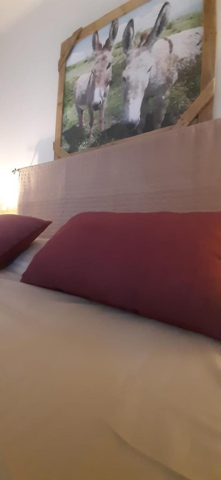 Standard Triple Room photo 1