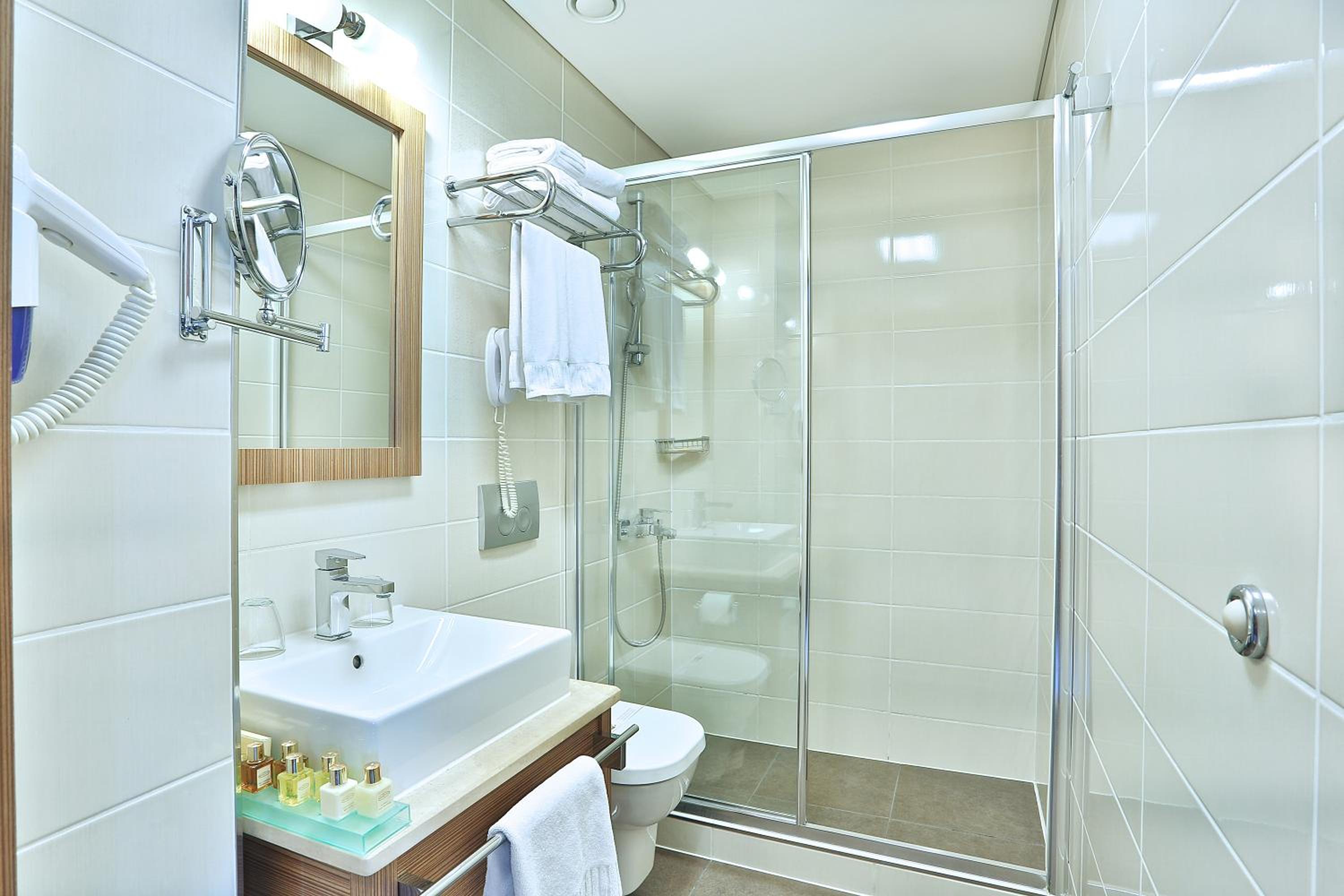 Deluxe Double or Twin Room photo 3