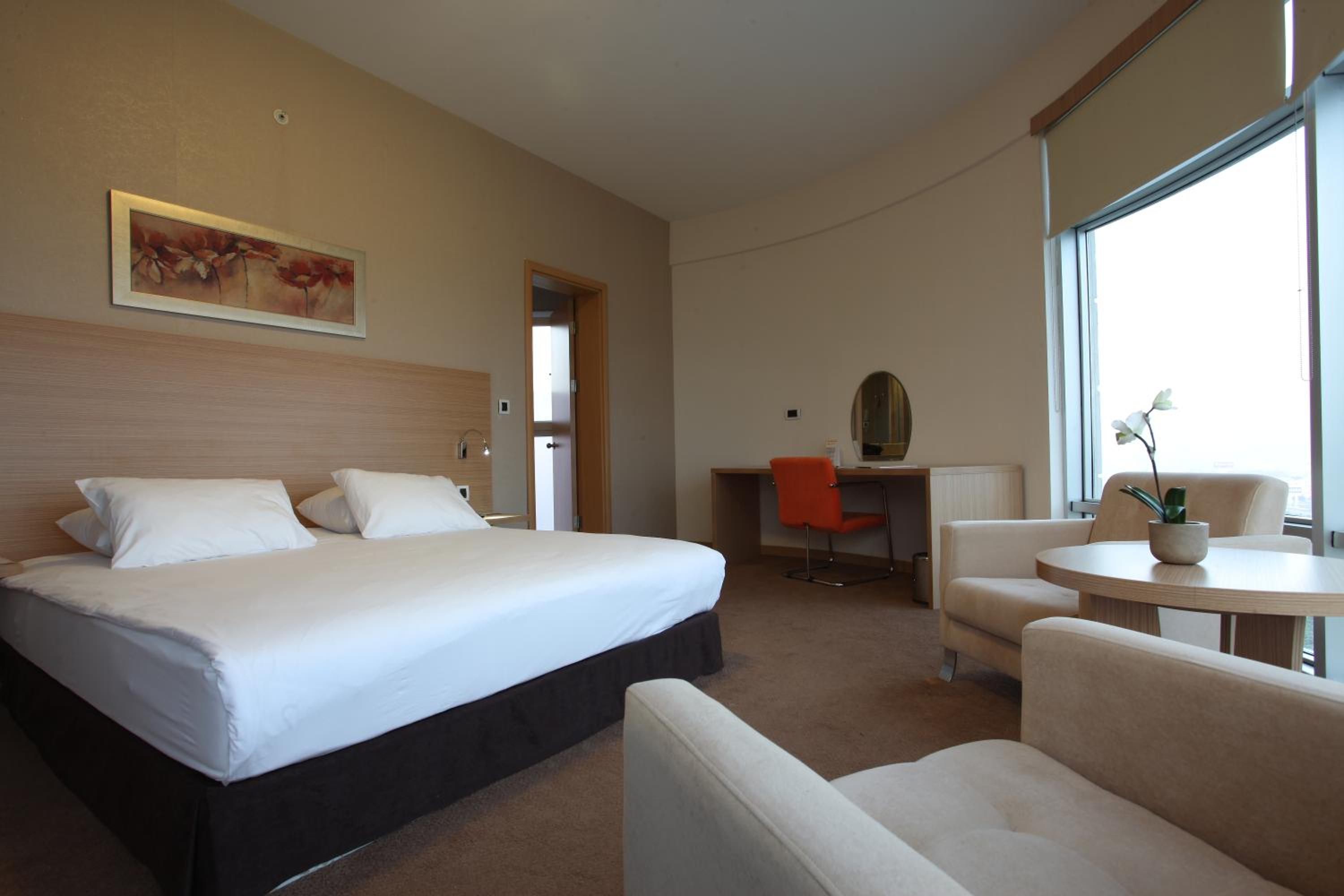 Large Double Room photo 3