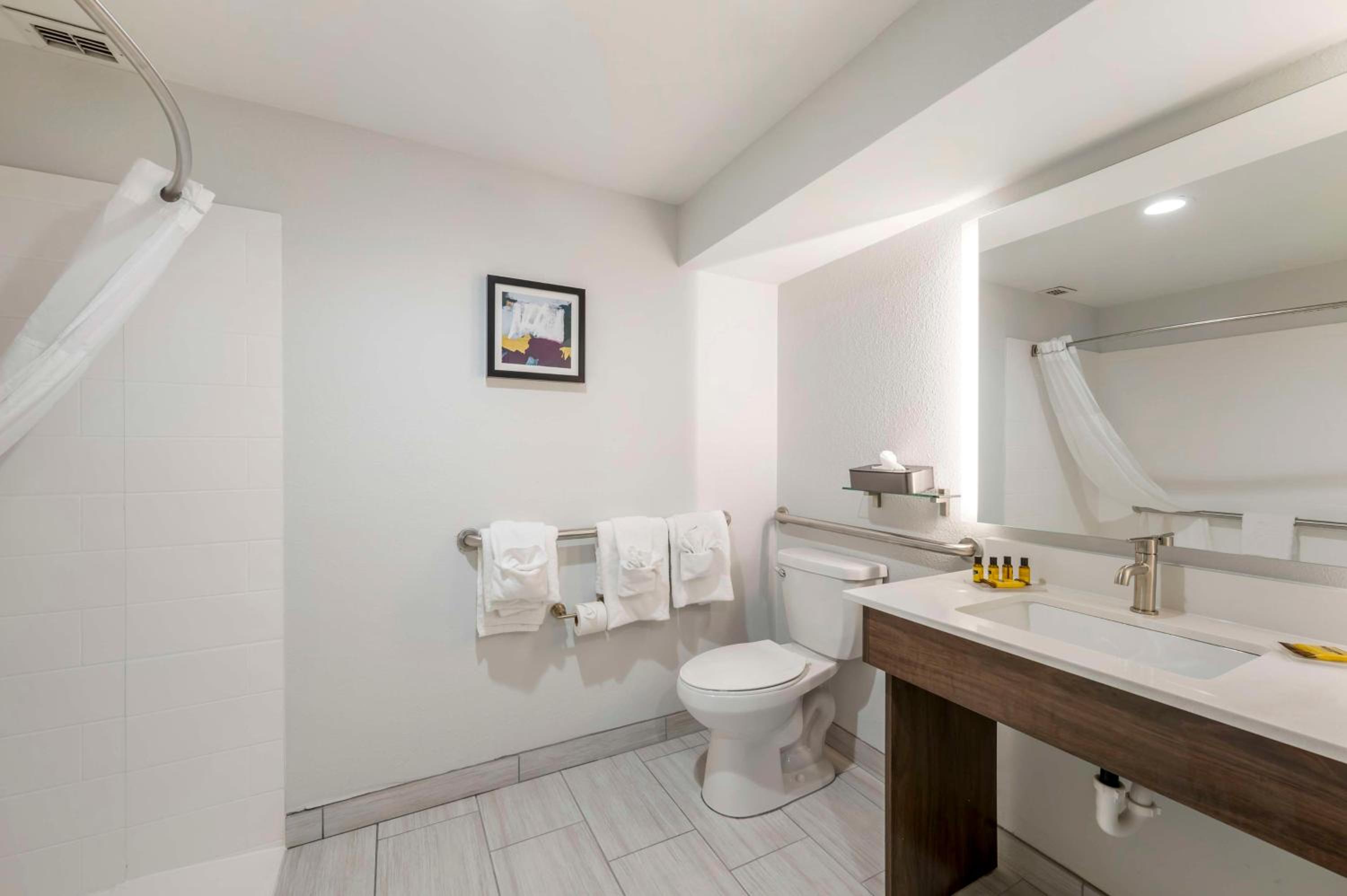 King Room with Roll-In Shower - Disability Access
