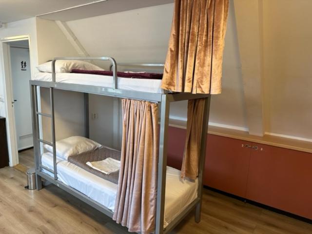 Bunk Bed in Mixed Dormitory Room photo 3