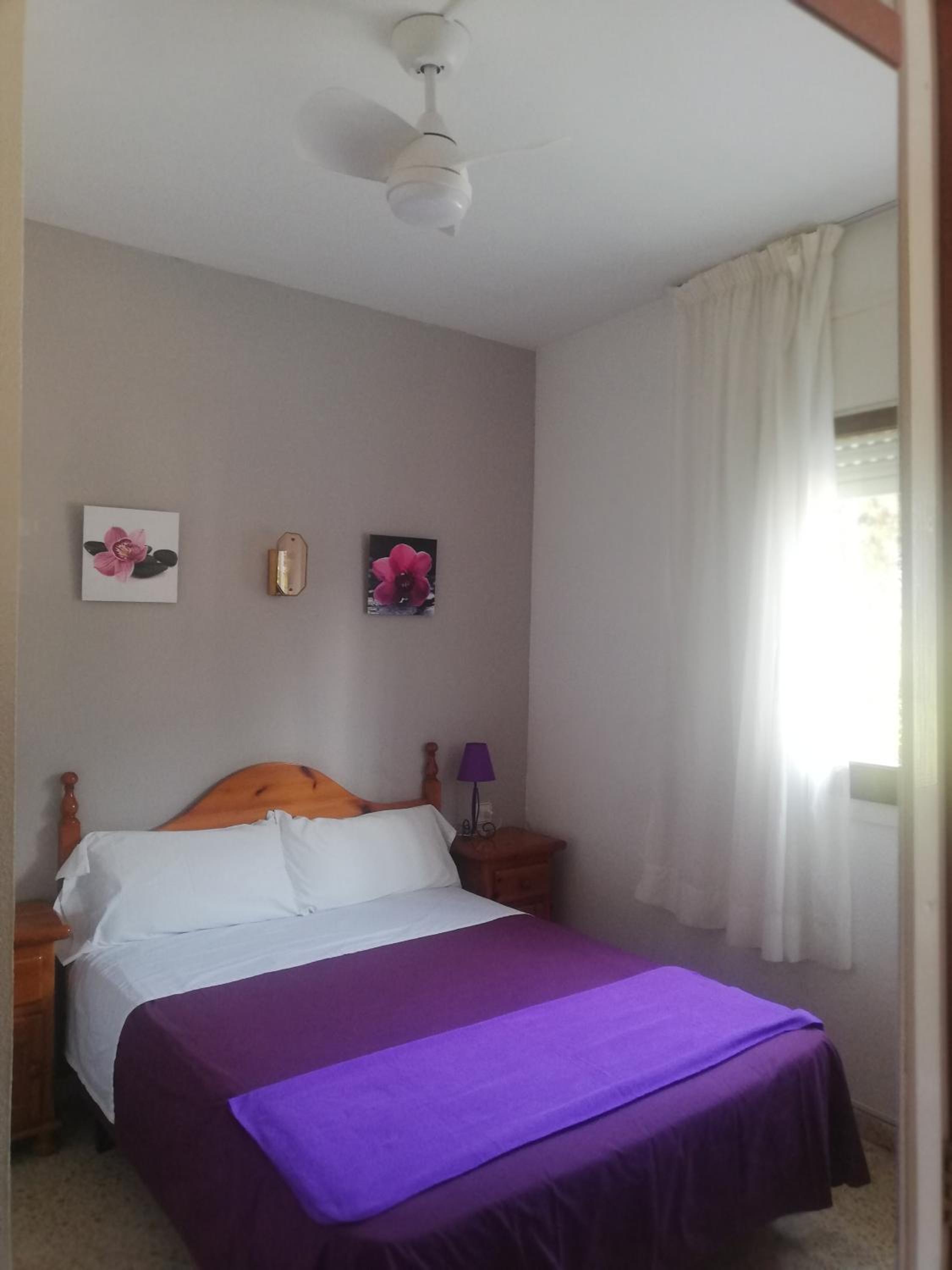 Habitación Individual