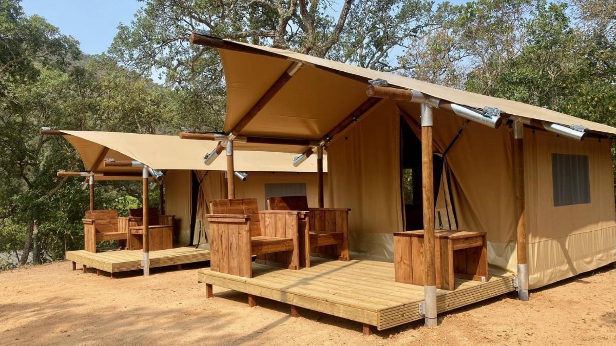 Glam Tent- Forest Area photo 2