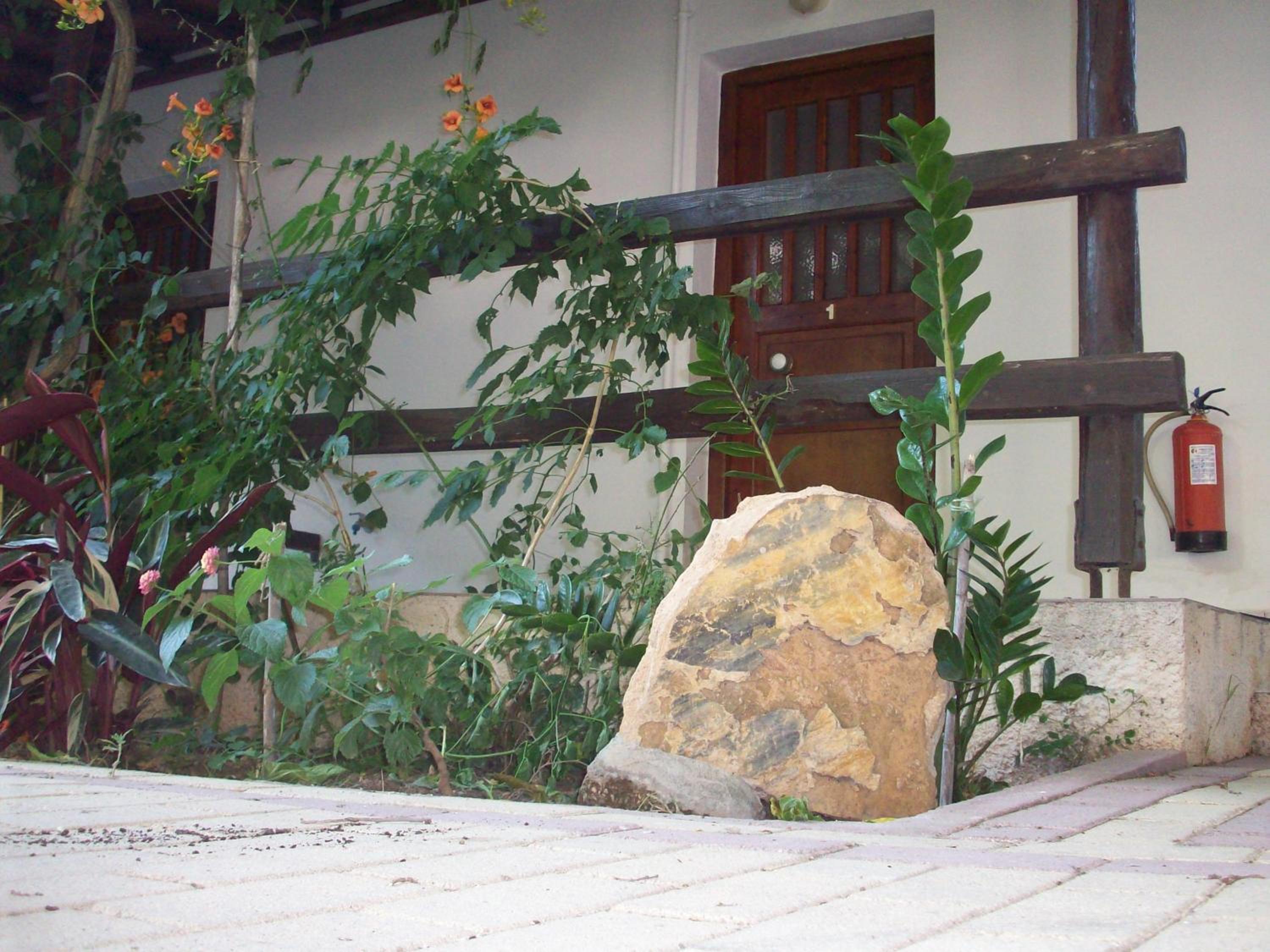 Twin Room - Photo 12