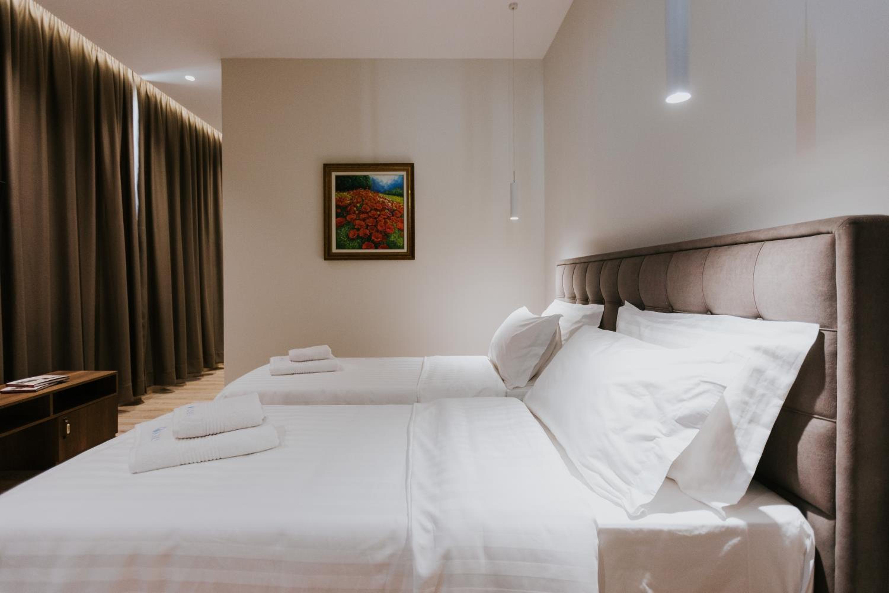 Deluxe Double or Twin Room with City View photo 3
