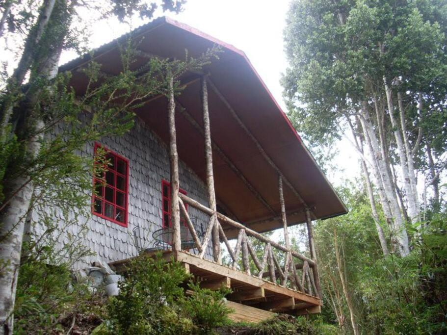 One-Bedroom House photo 1