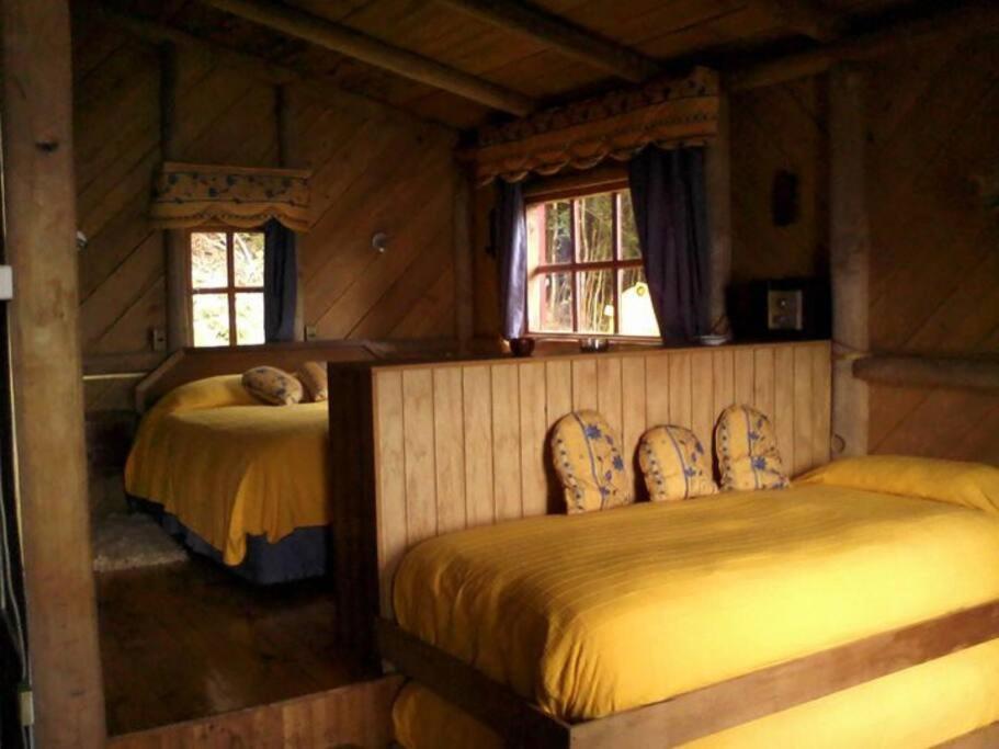 One-Bedroom House photo 3
