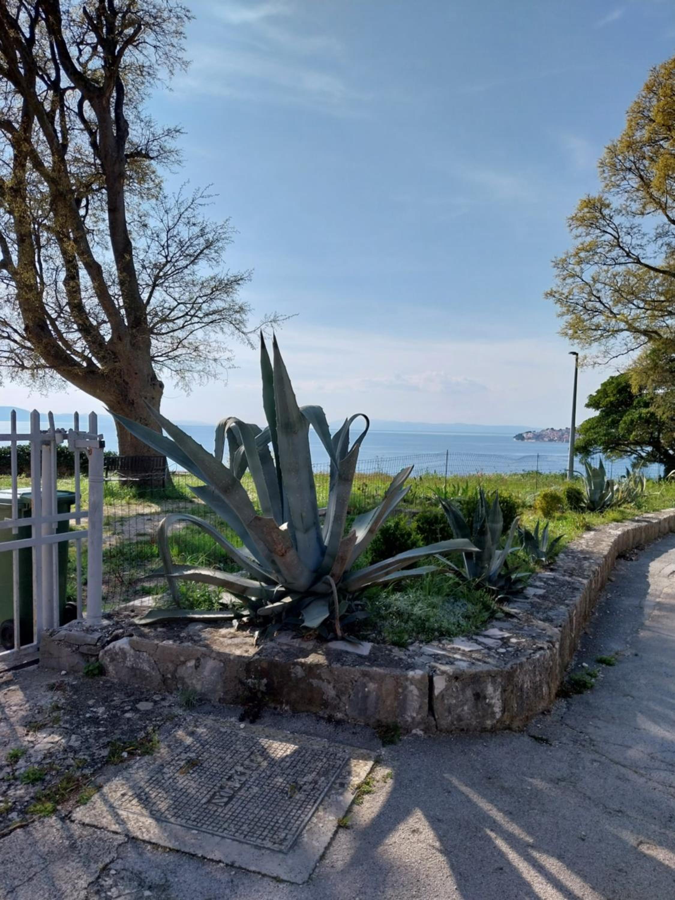 Double Room with Sea View photo 2