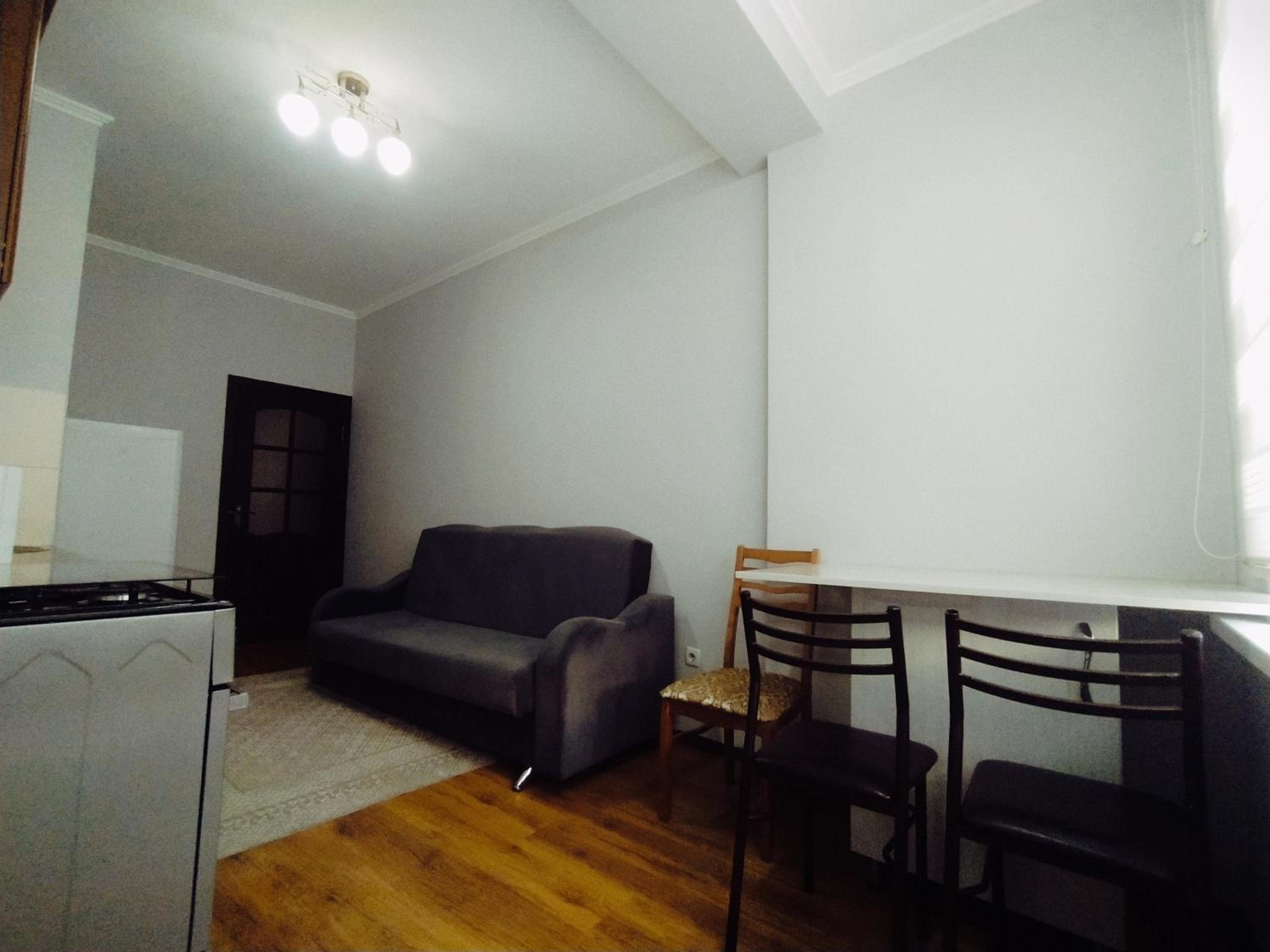 One-Bedroom Apartment photo 3