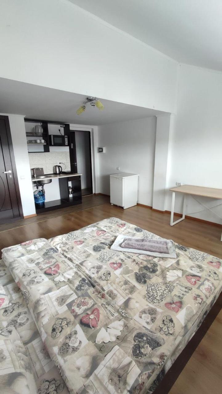 One-Bedroom Apartment photo 2