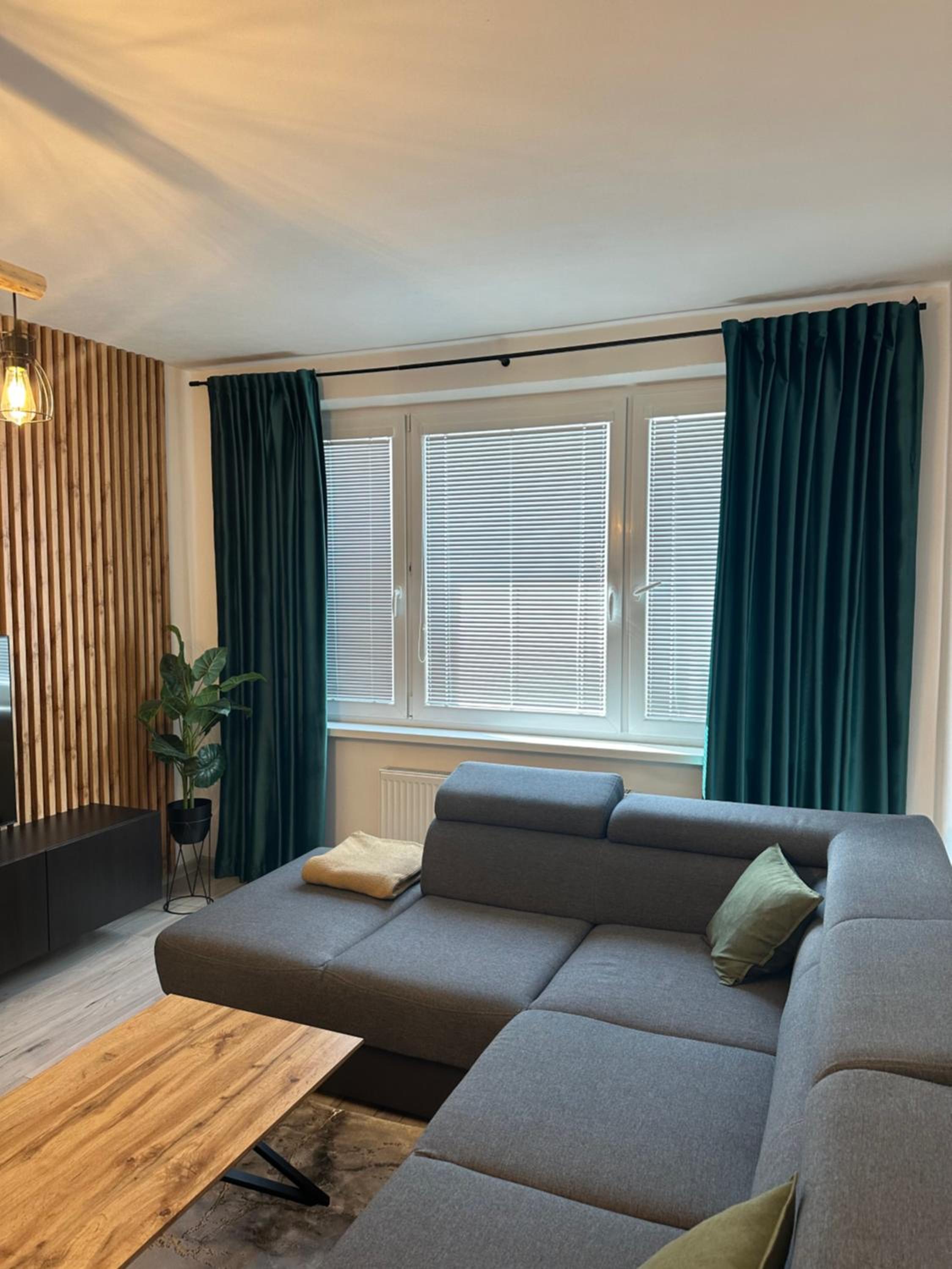 One-Bedroom Apartment photo 2