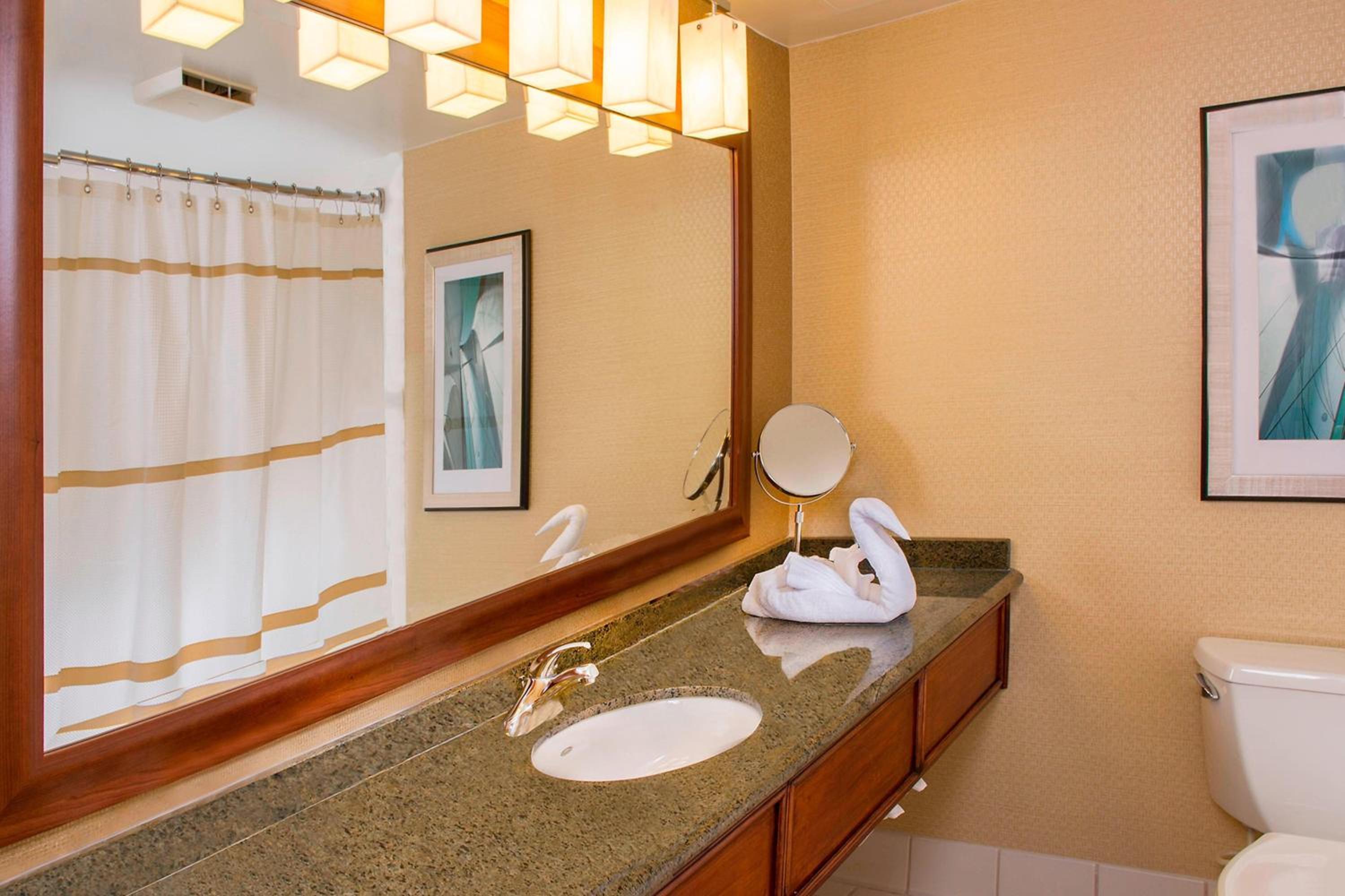 King Room with Roll-in Shower - Mobility Accessible photo 2