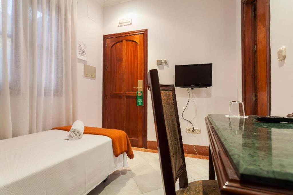 Habitación Individual Económica