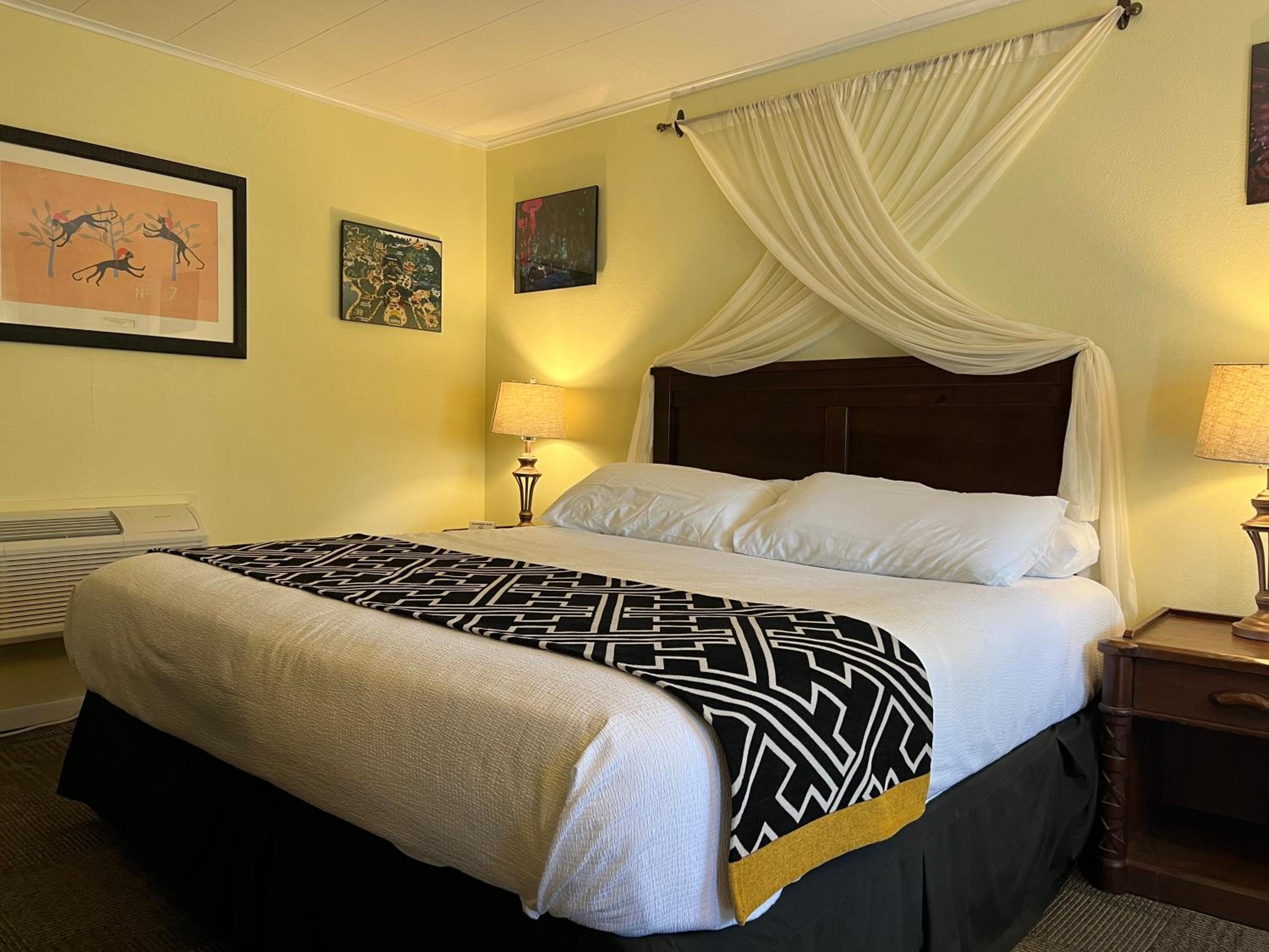Deluxe King Suite - Photo 1
