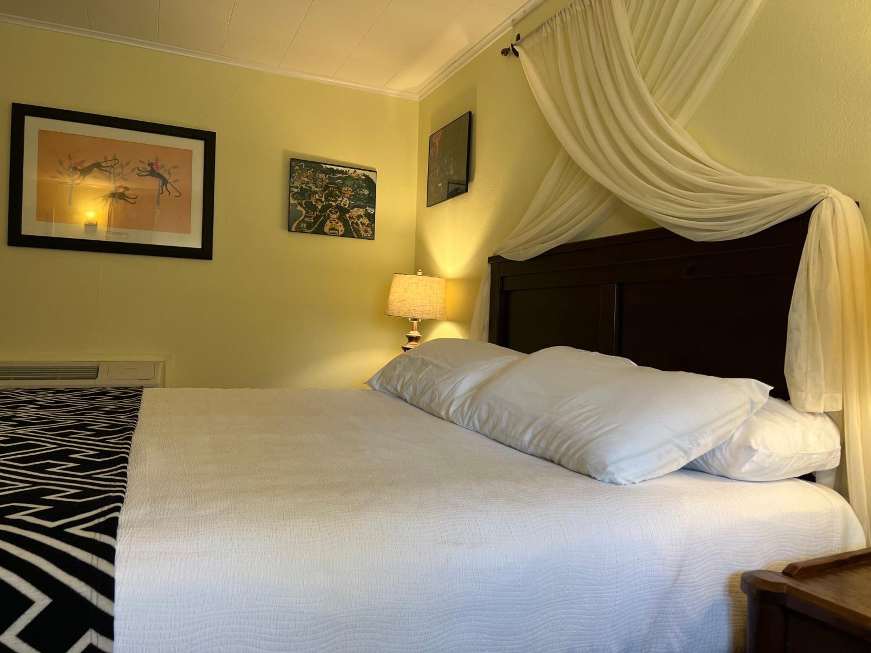 Deluxe King Suite - Photo 5